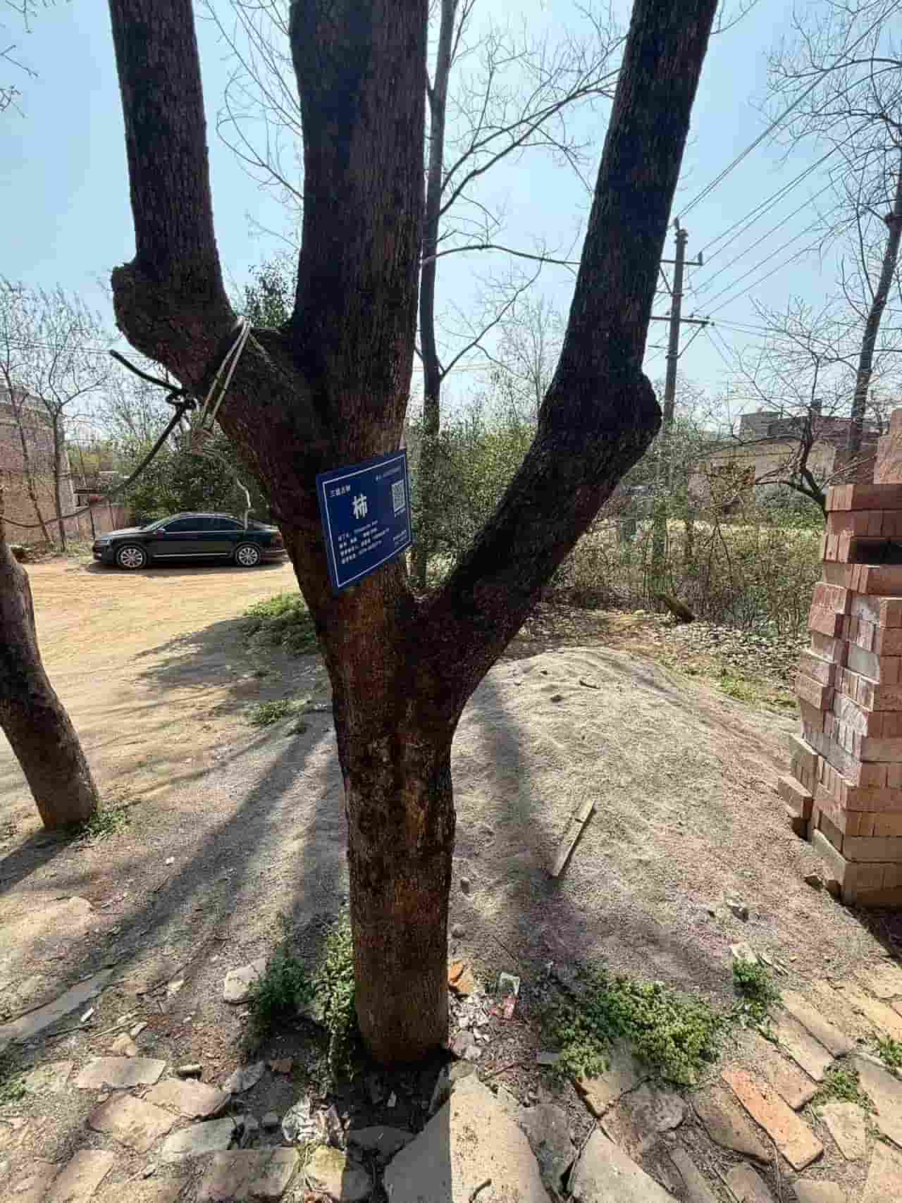 41032900024-2