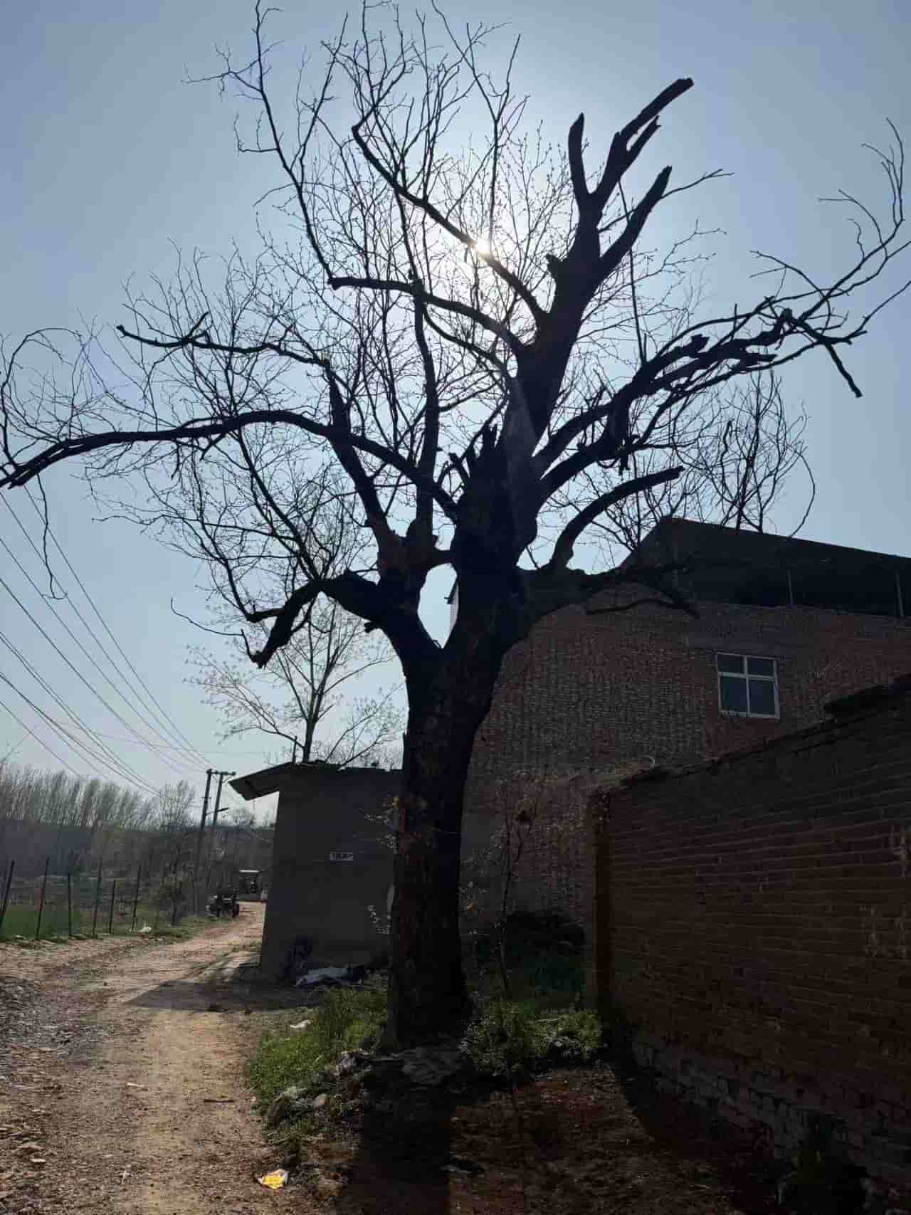 41032900059-2