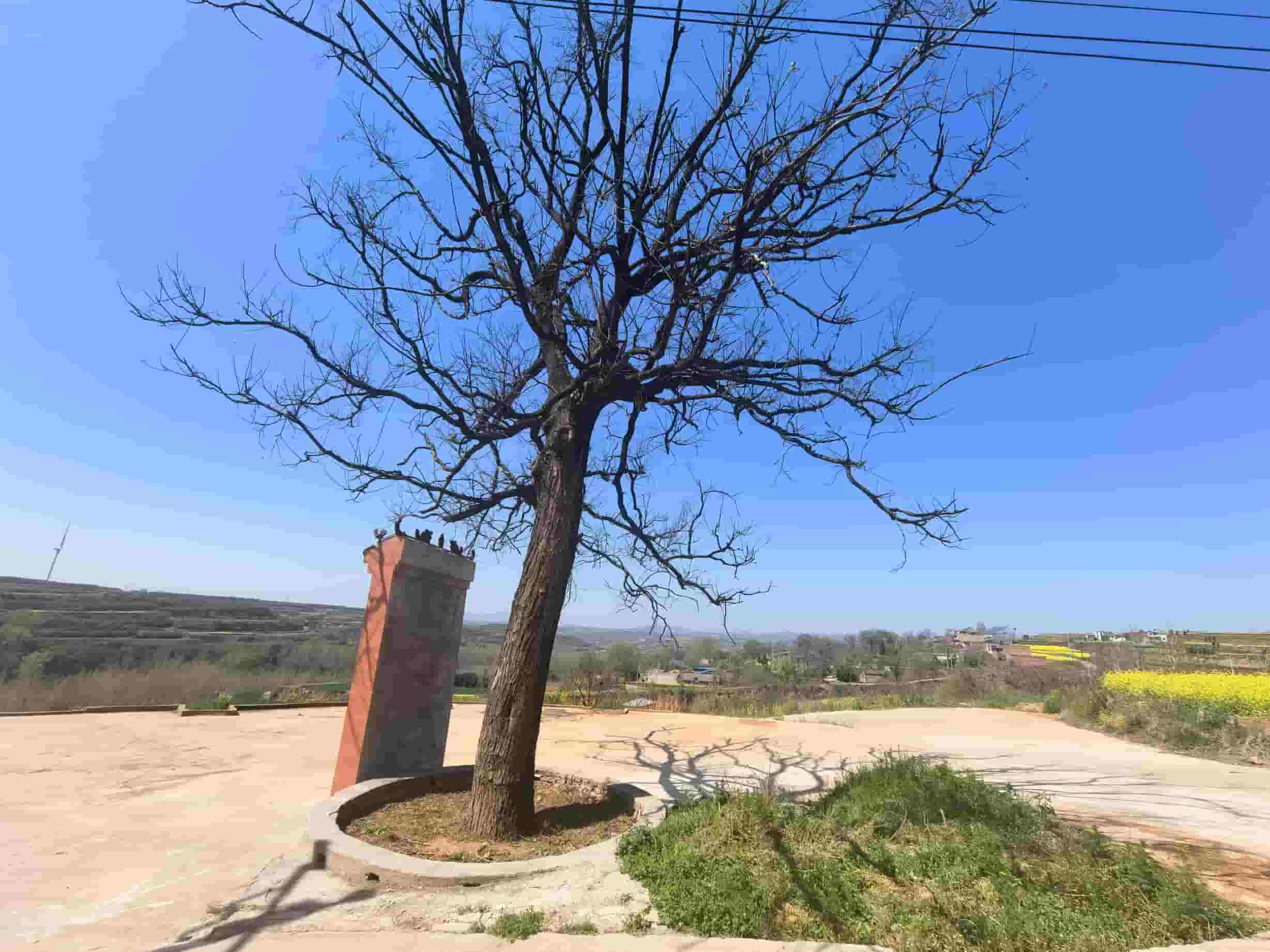 41032900073