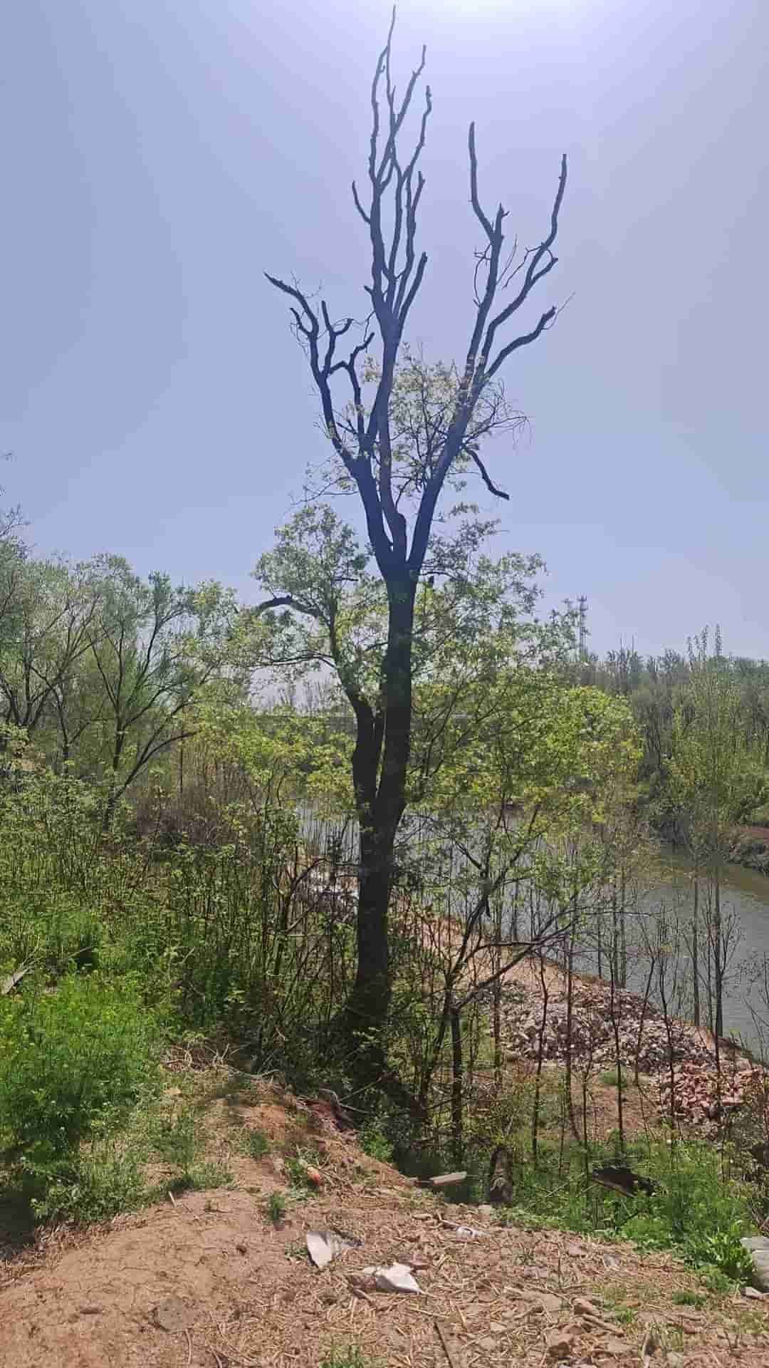 41032900078-3