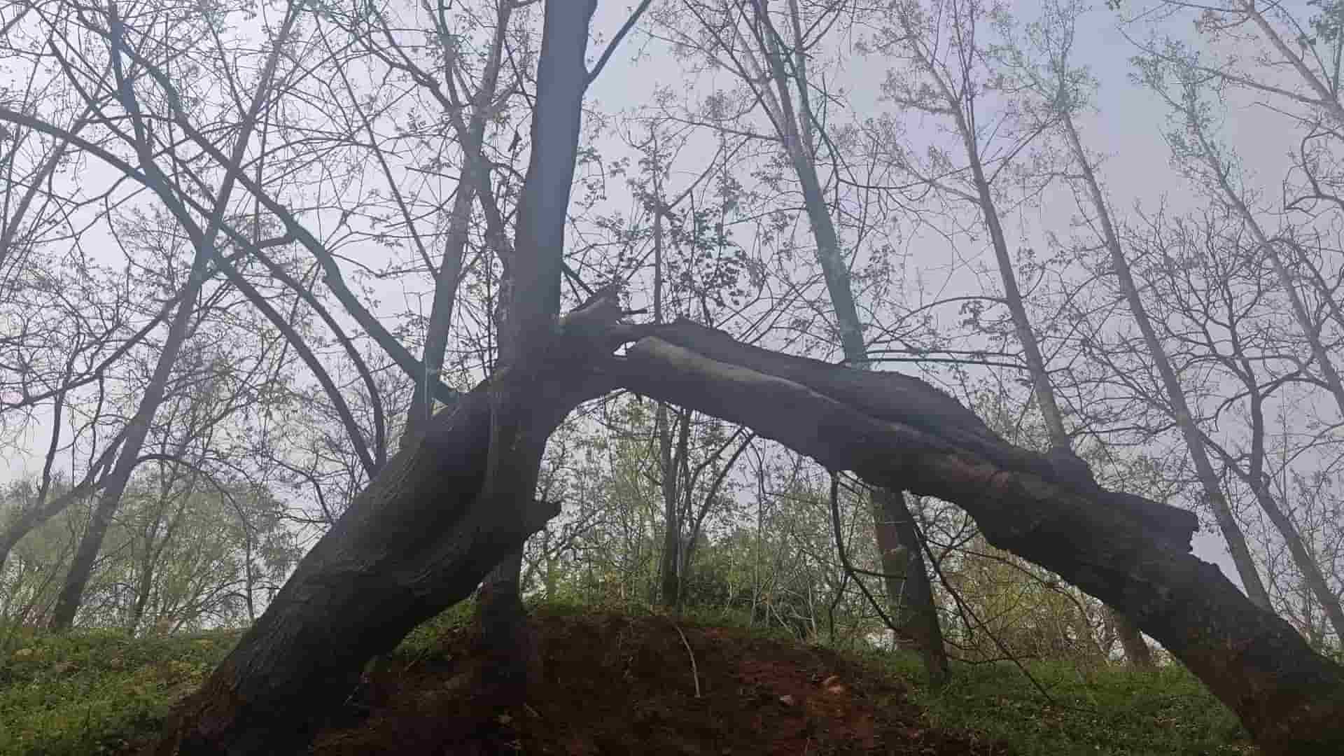 41032900114-2