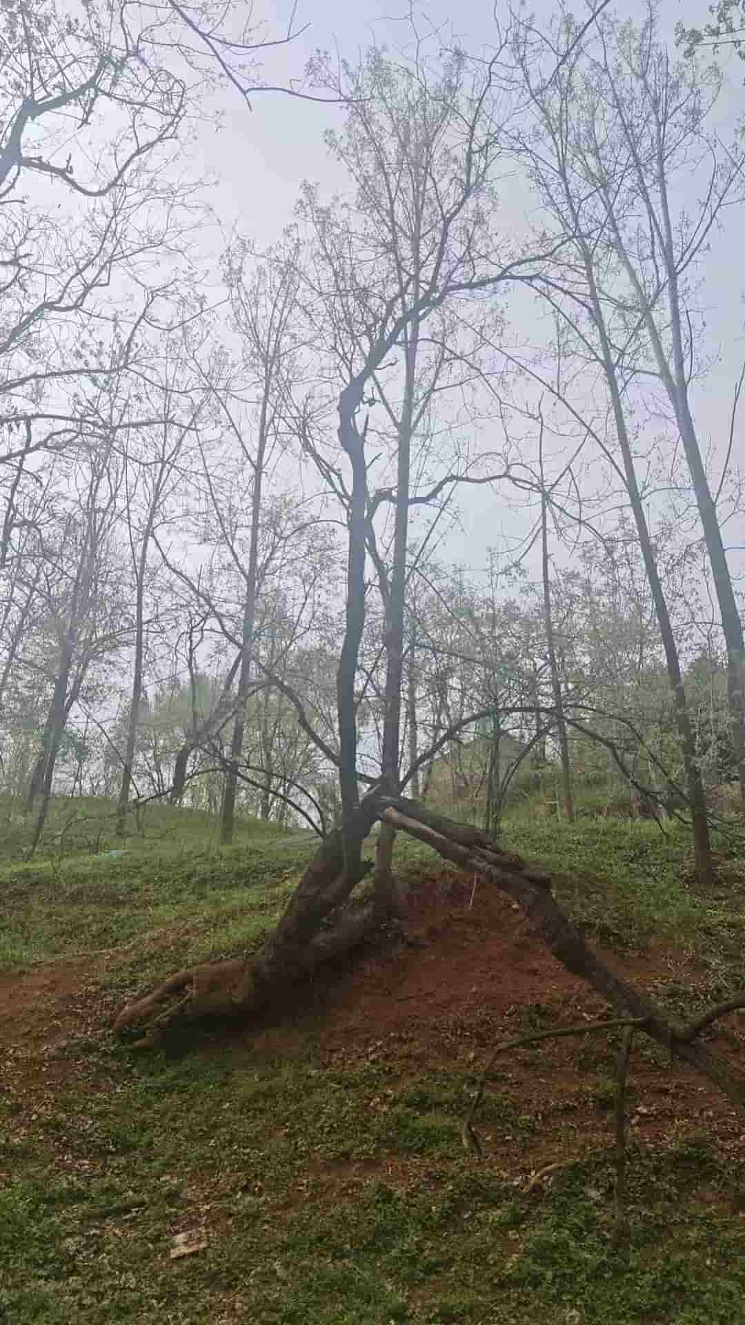 41032900114-4