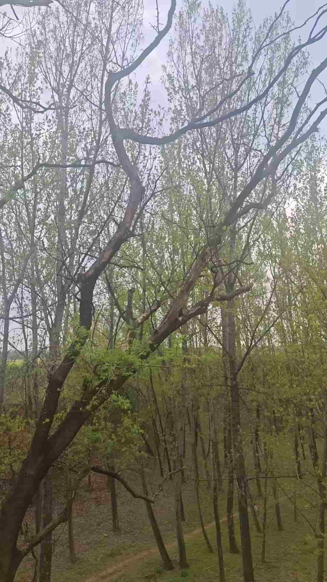 41032900117-4