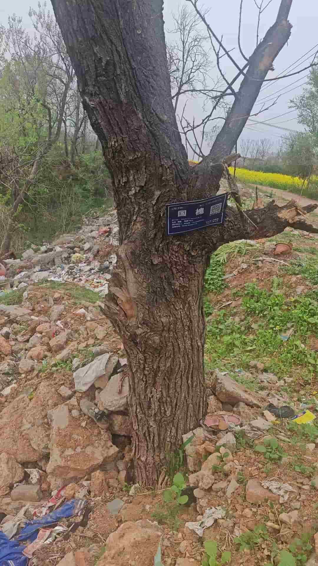 41032900125