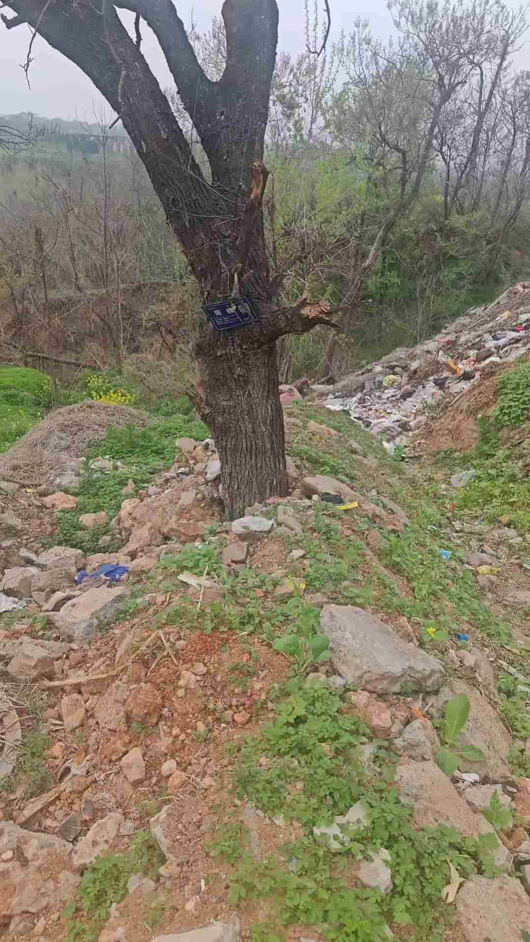 41032900125-2
