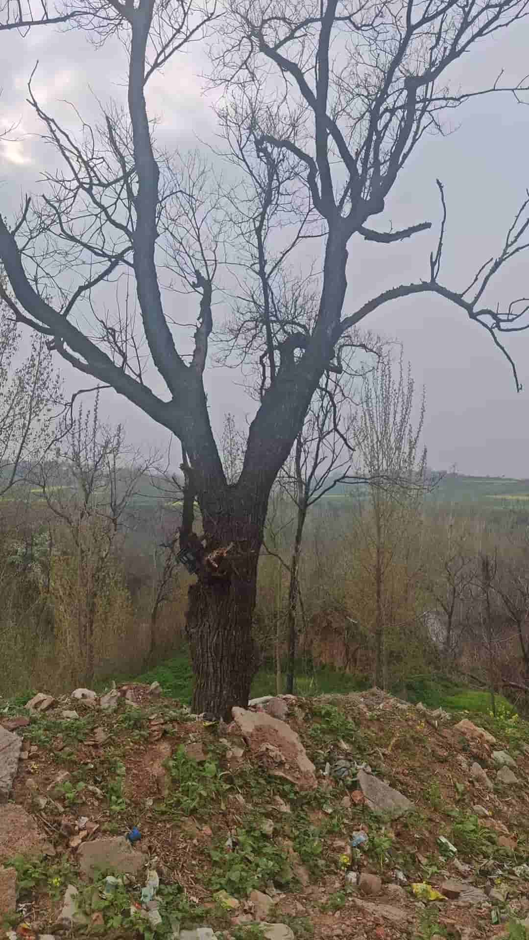 41032900125-3