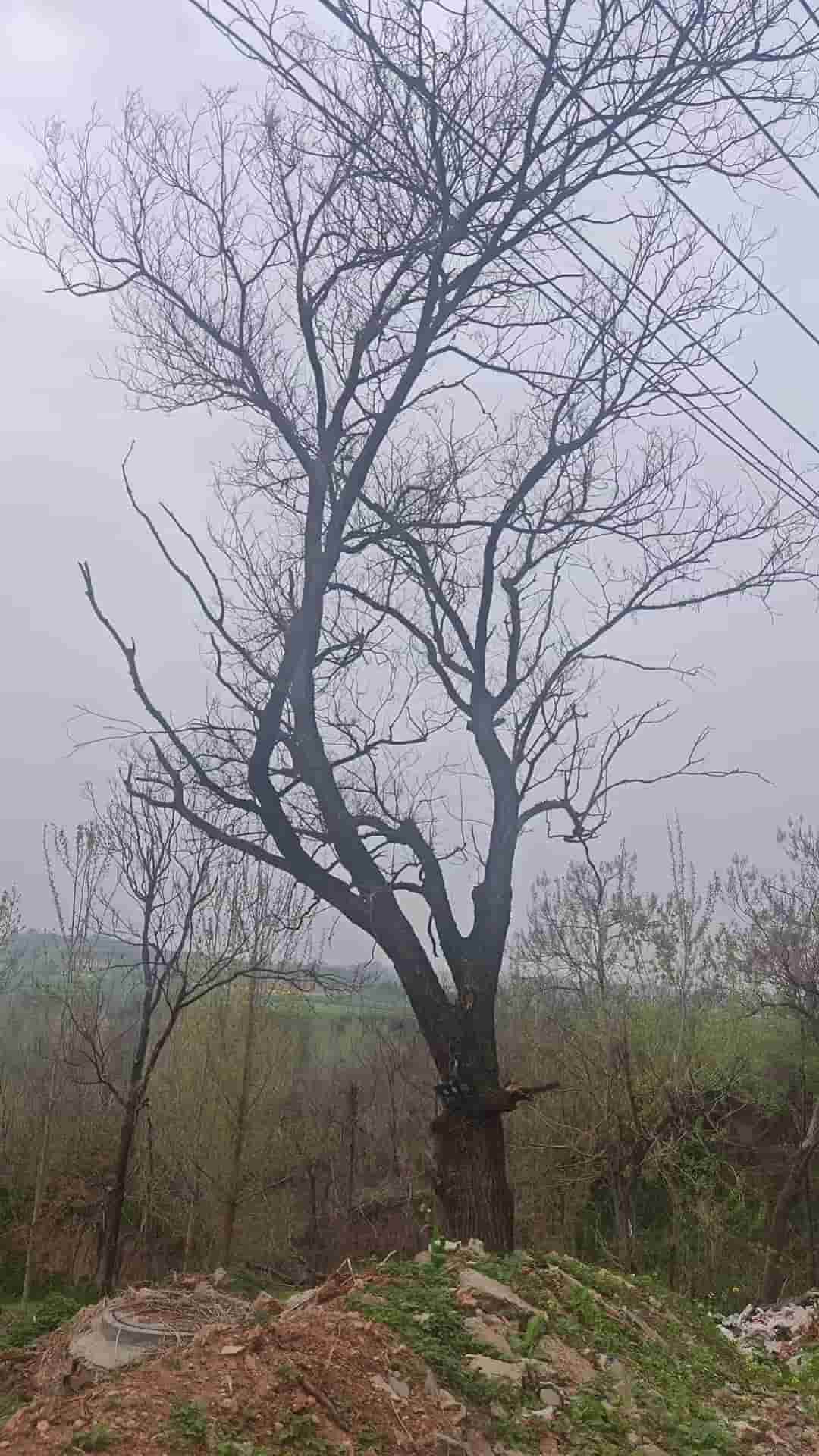 41032900125-4