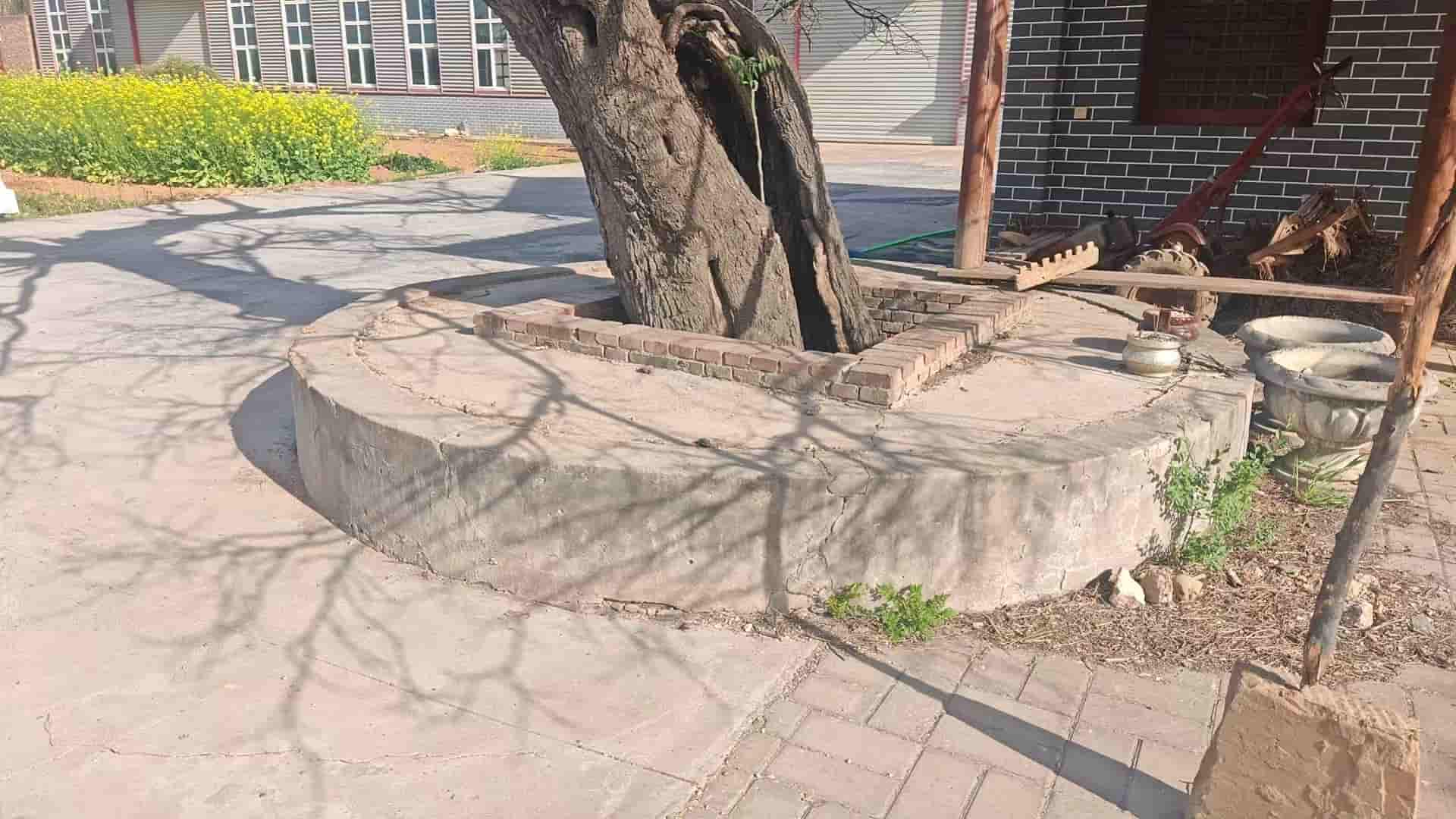 41032900137-2
