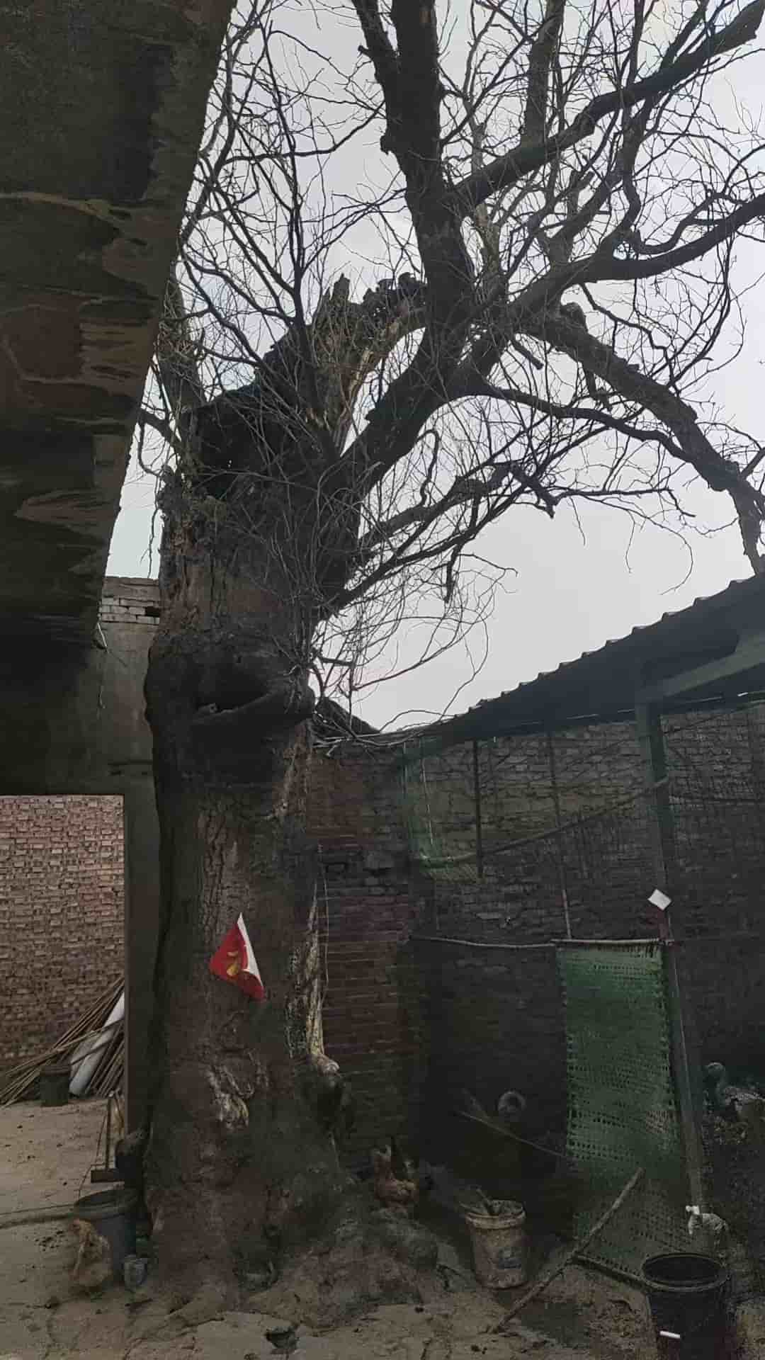 41032900141-2