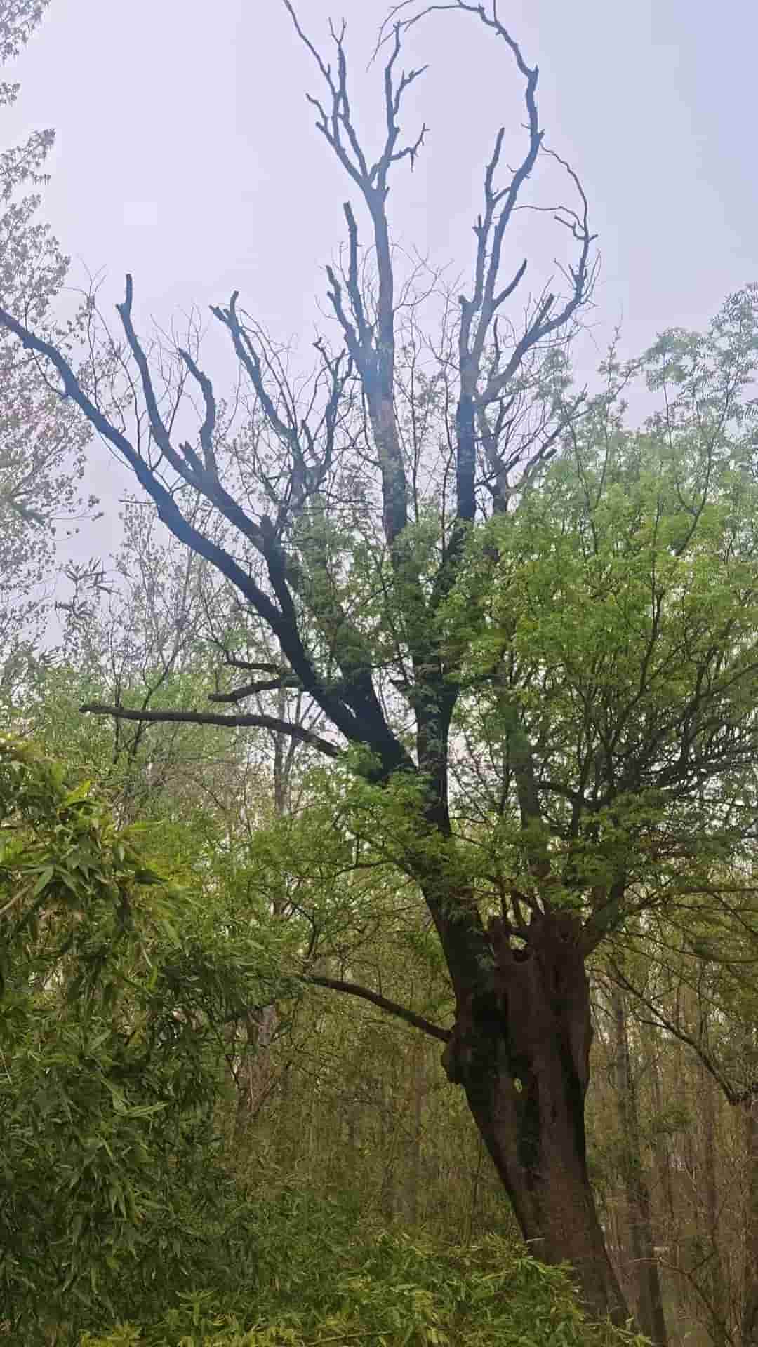 41032900149