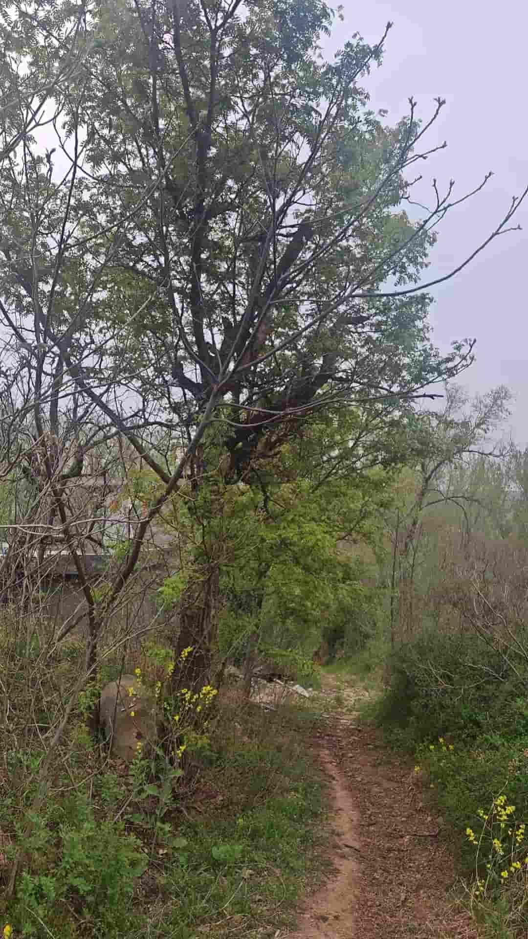 41032900153-3