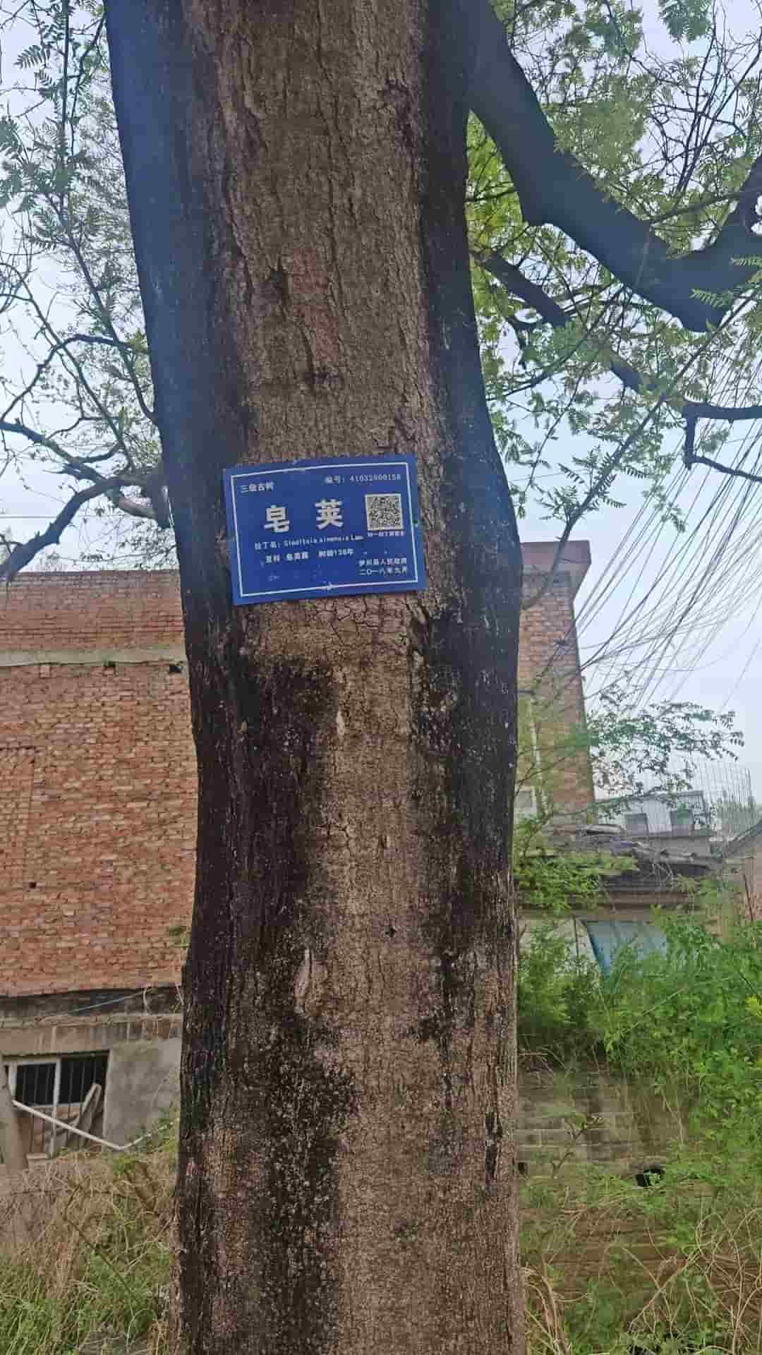 41032900158-2