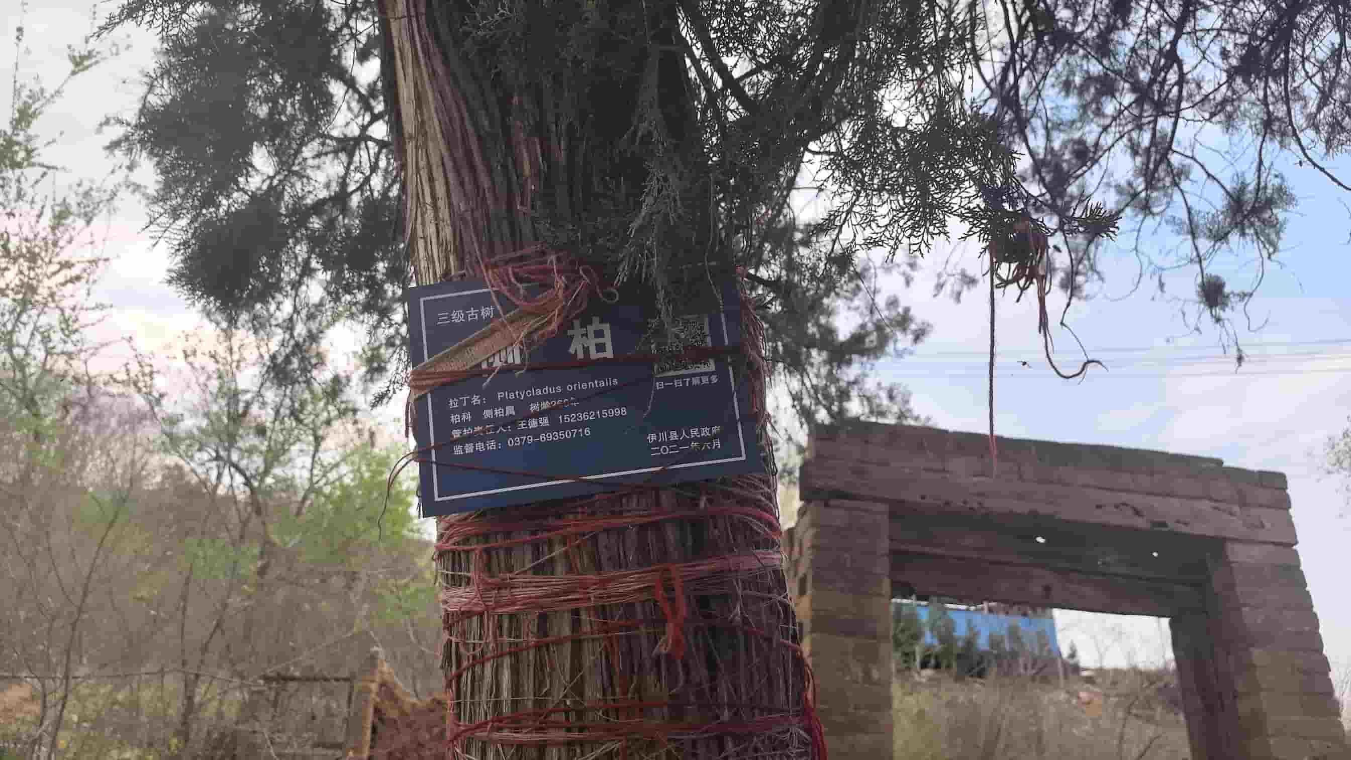 41032900167-2