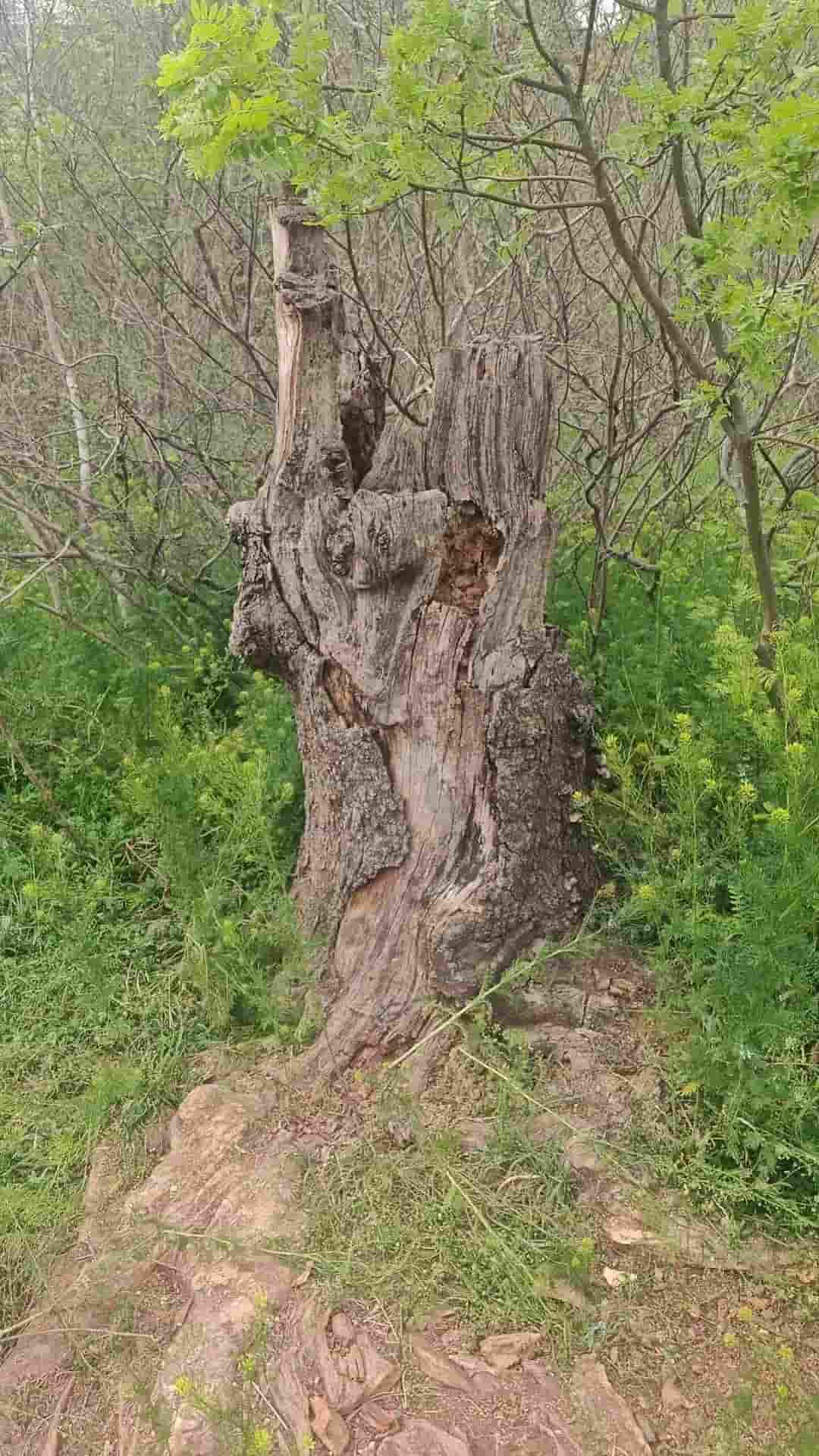 41032900168