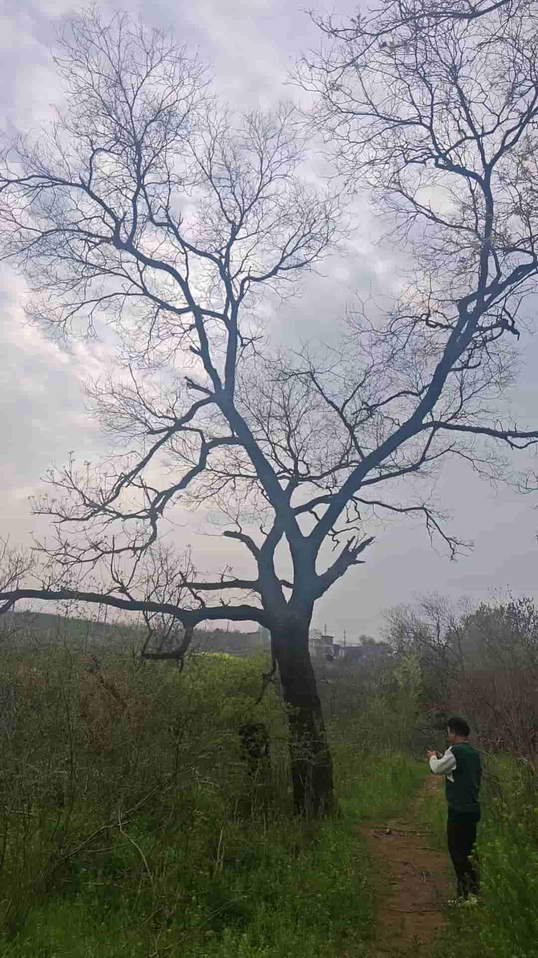 41032900170