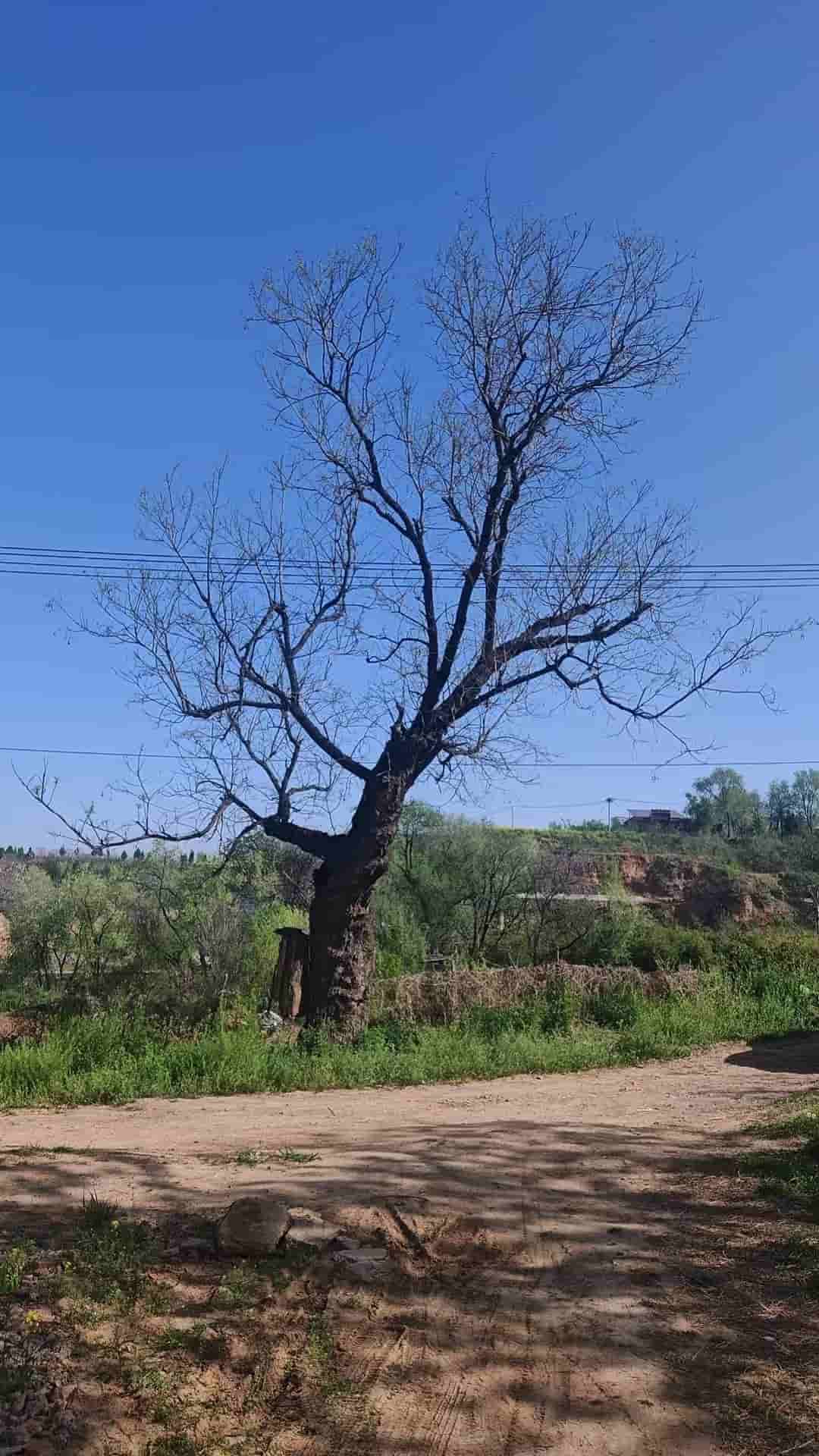41032900173-3