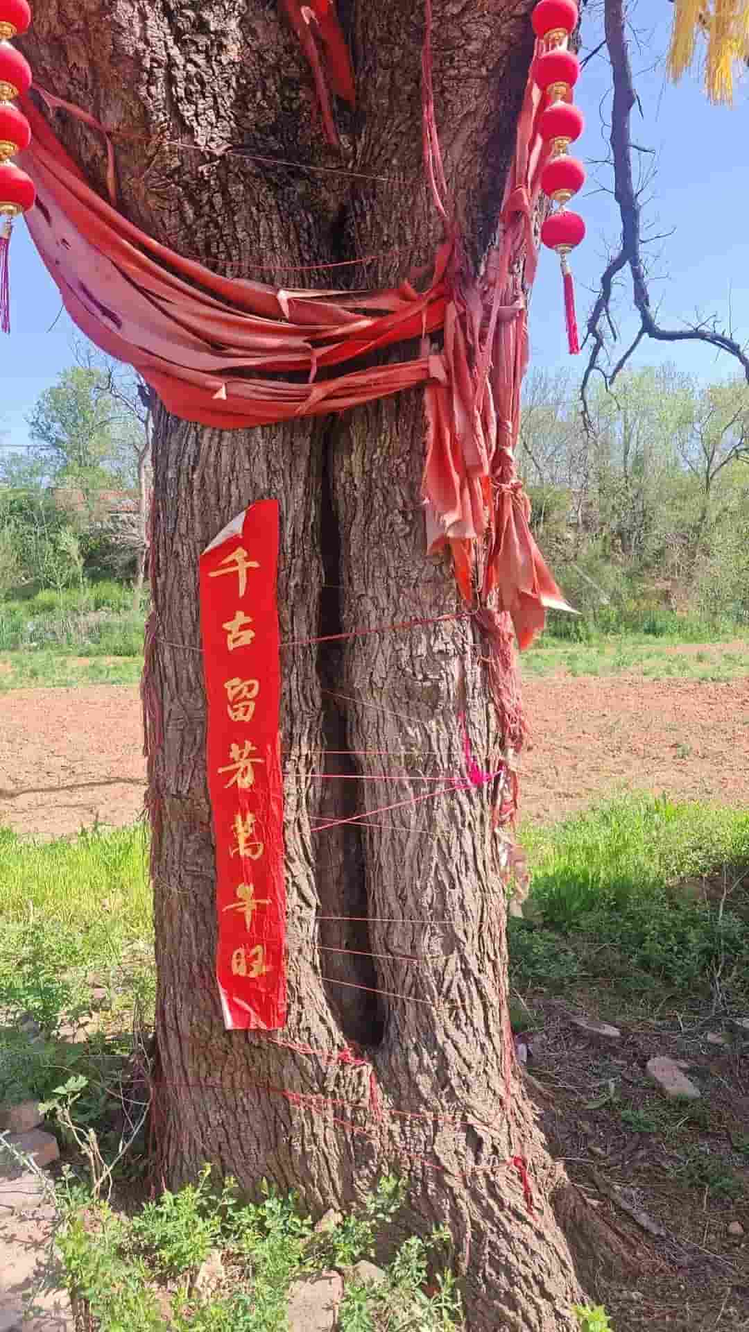 41032900189-4