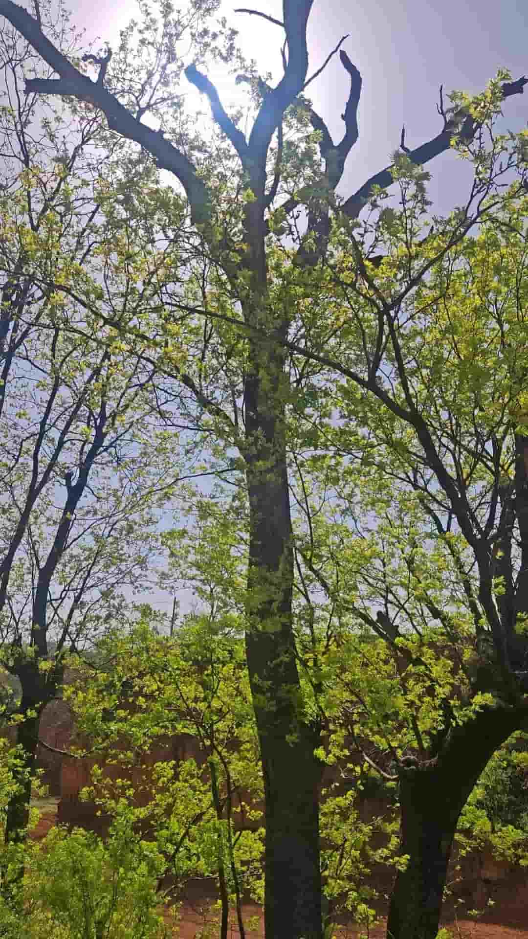 41032900190