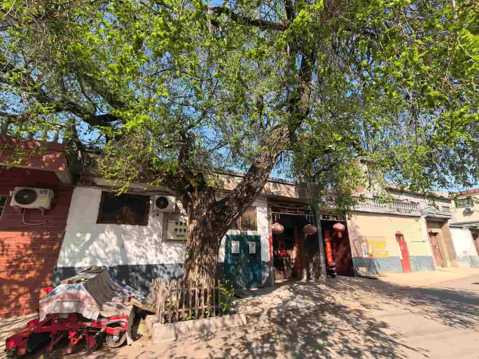 41032900231