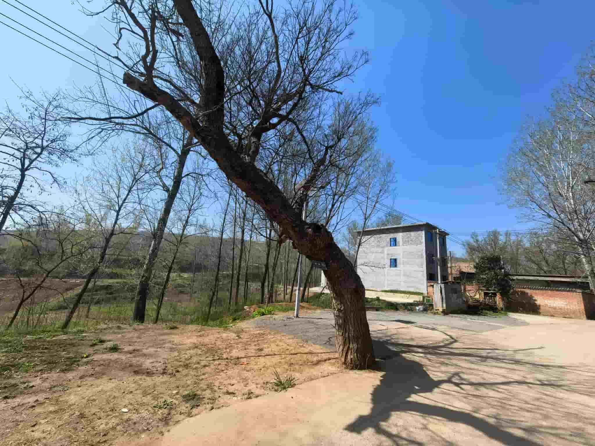 41032900249