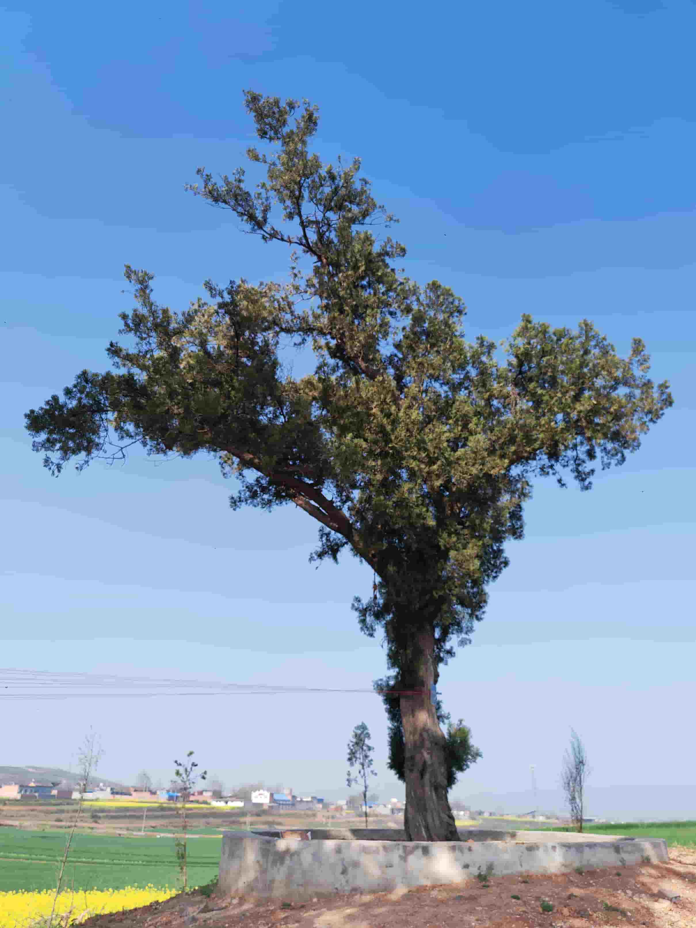 41032900307