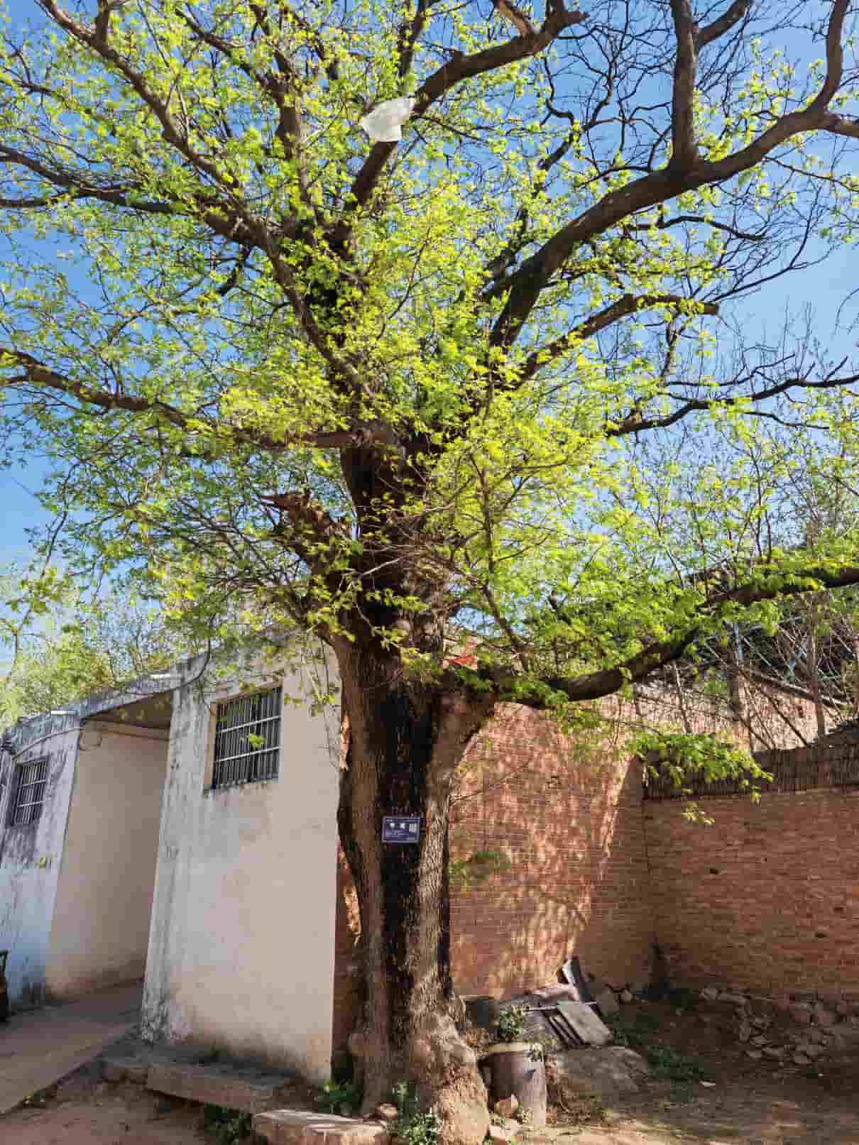 41032900317-2