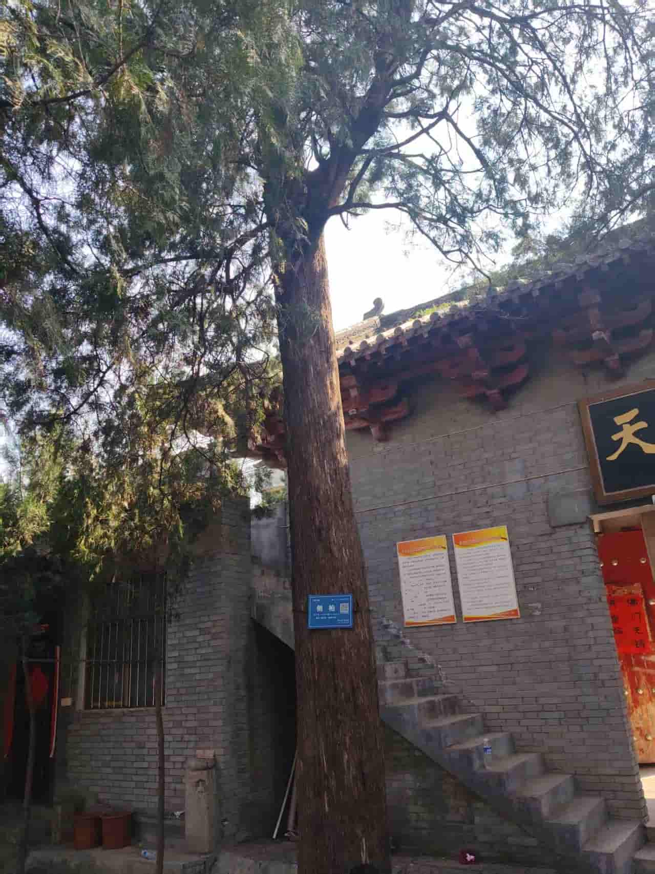 41032900359
