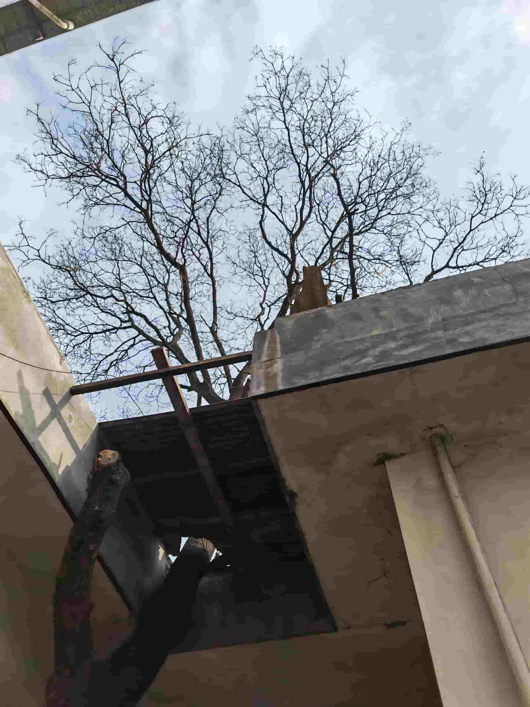 41032900369