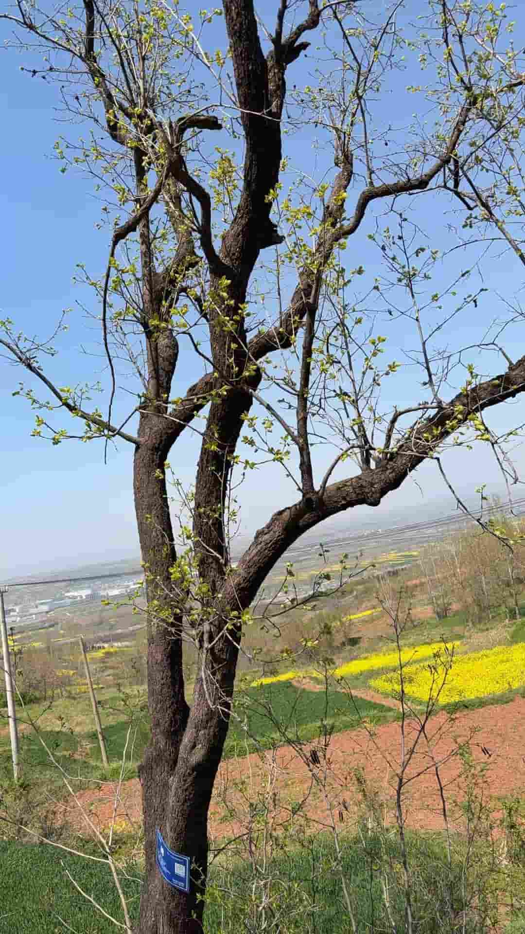 41032900391
