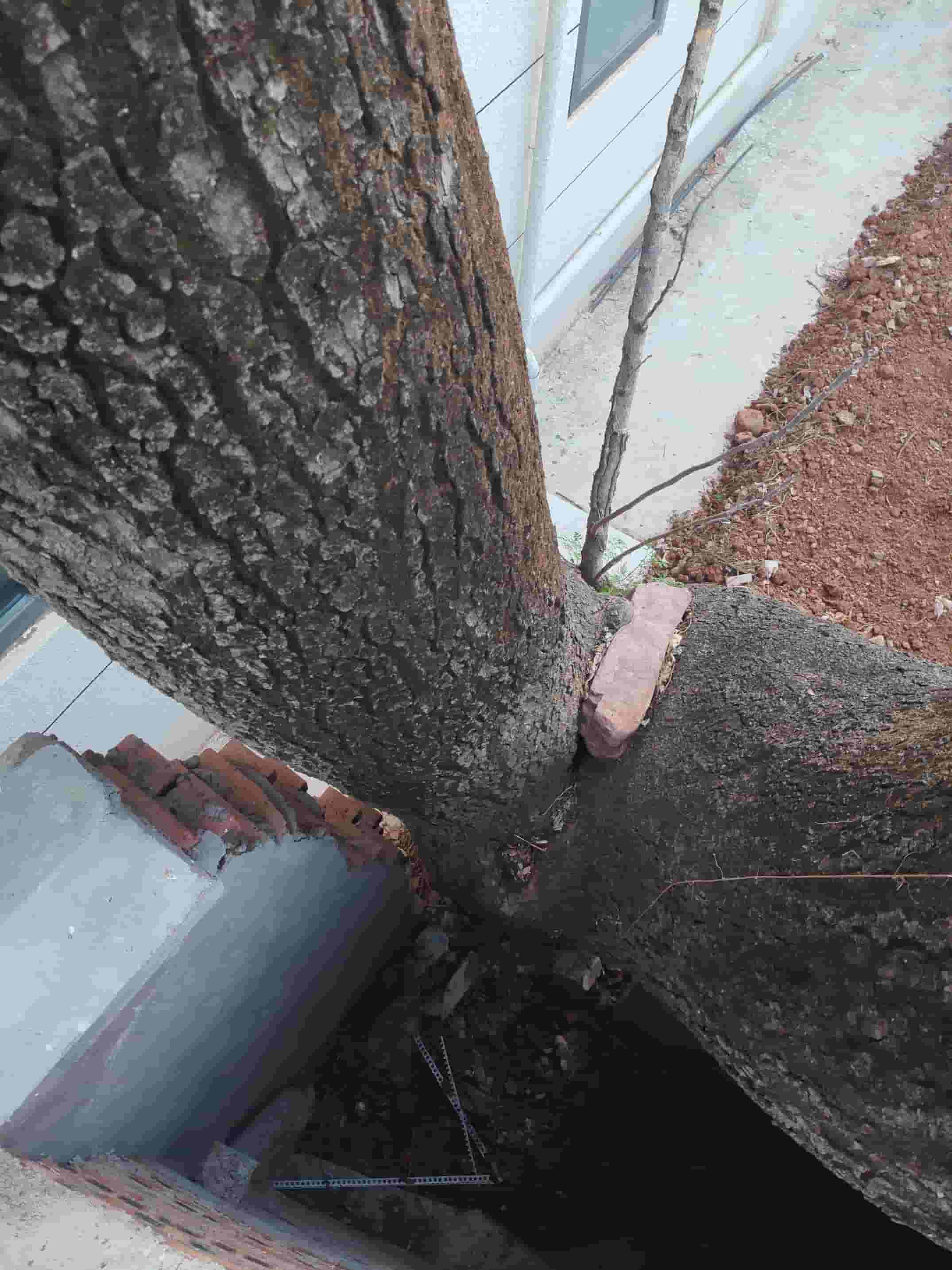 41032900417-2