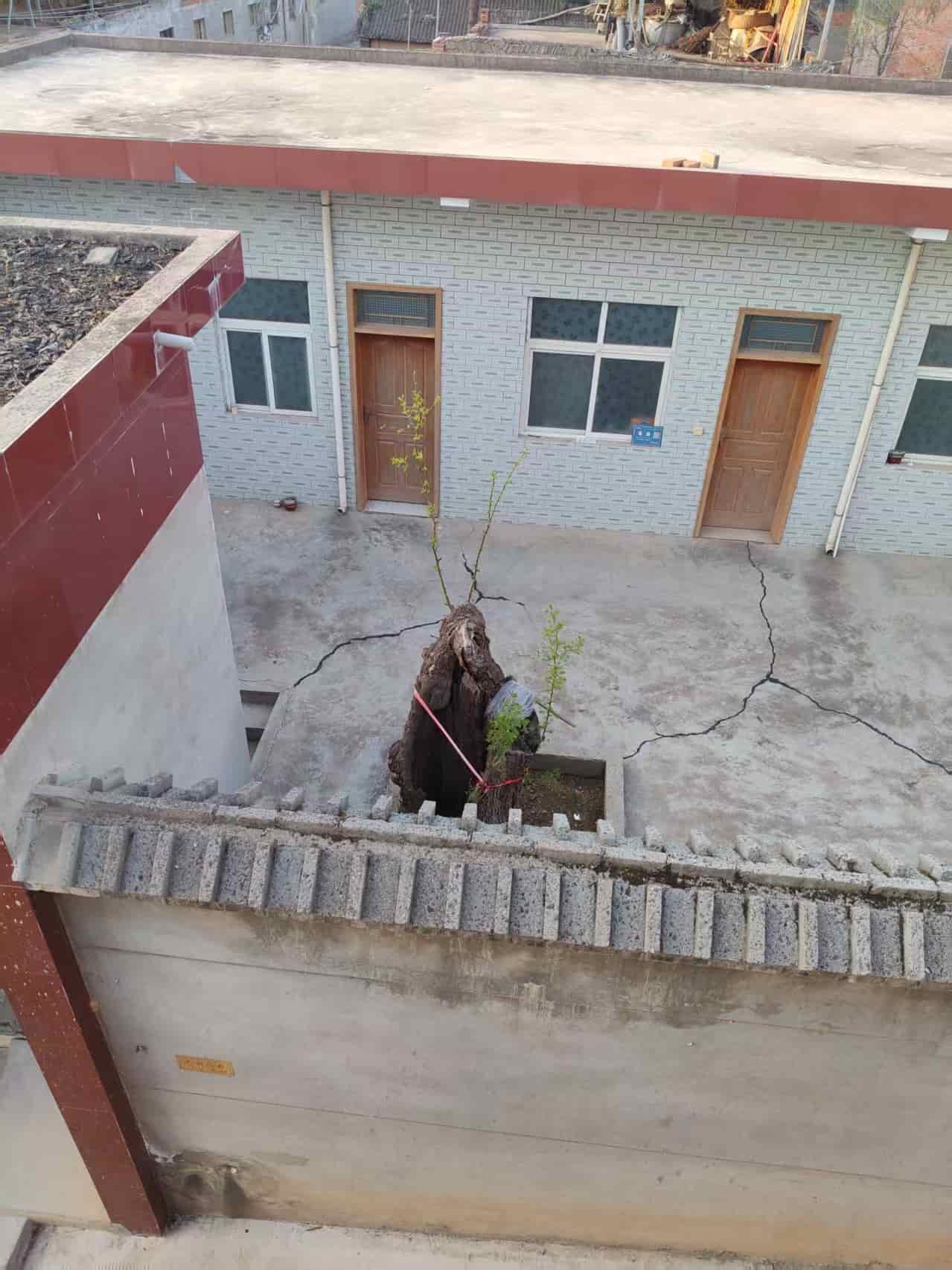 41032900419