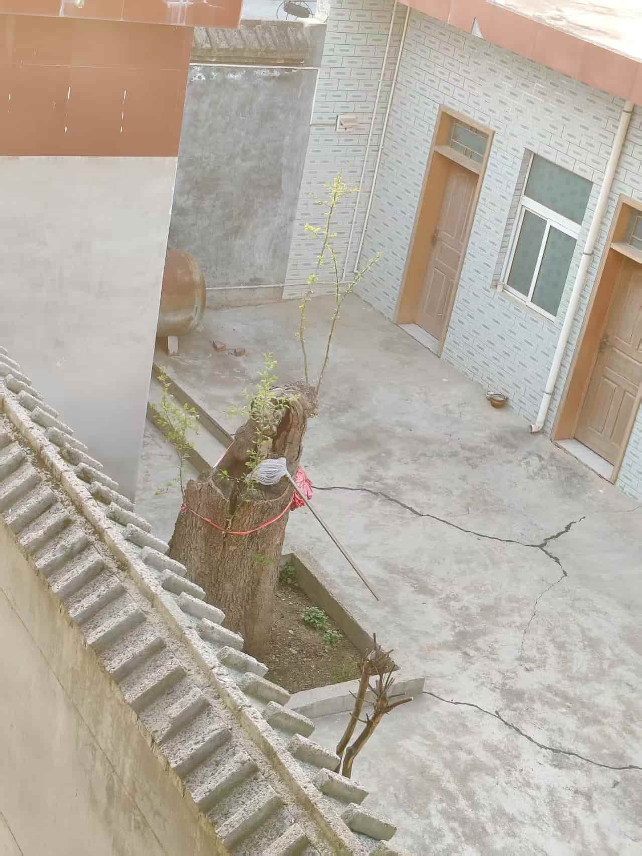 41032900419-3
