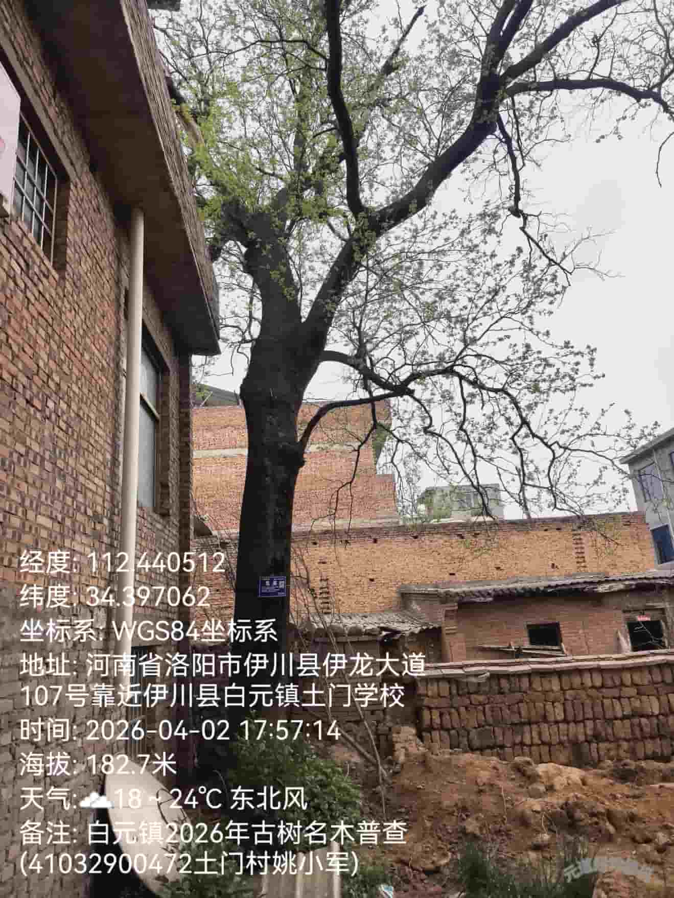 41032900472