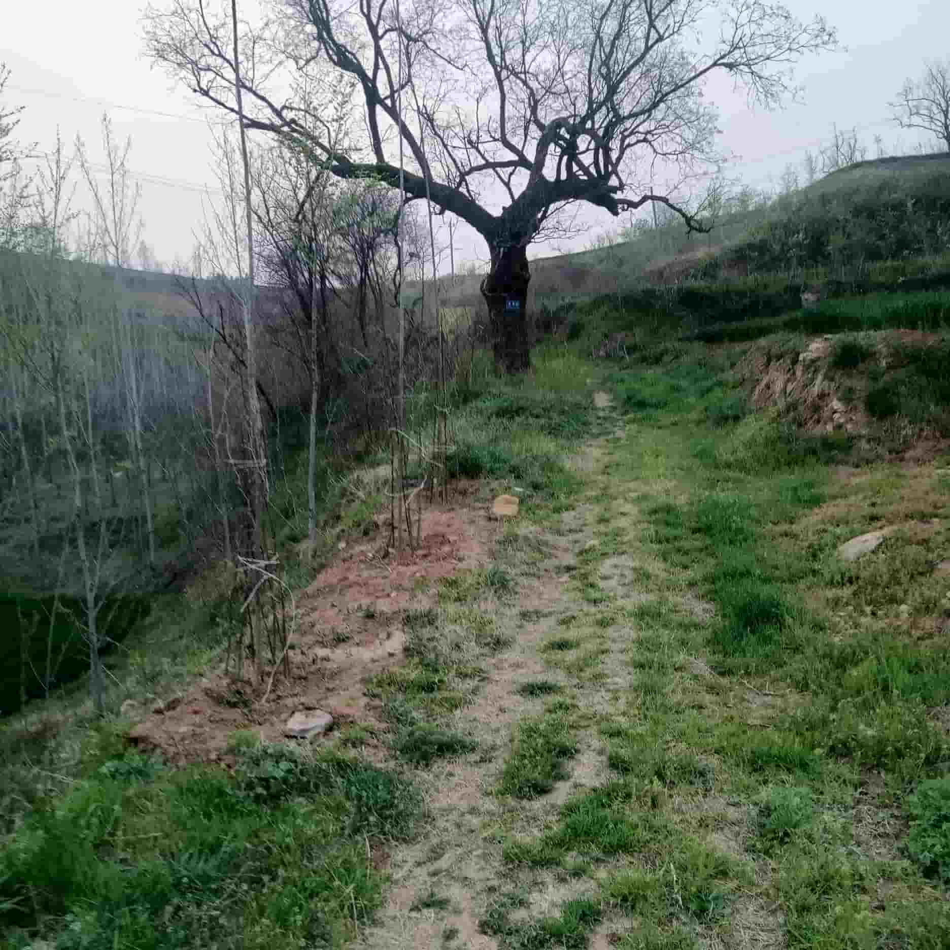 41032900473-4