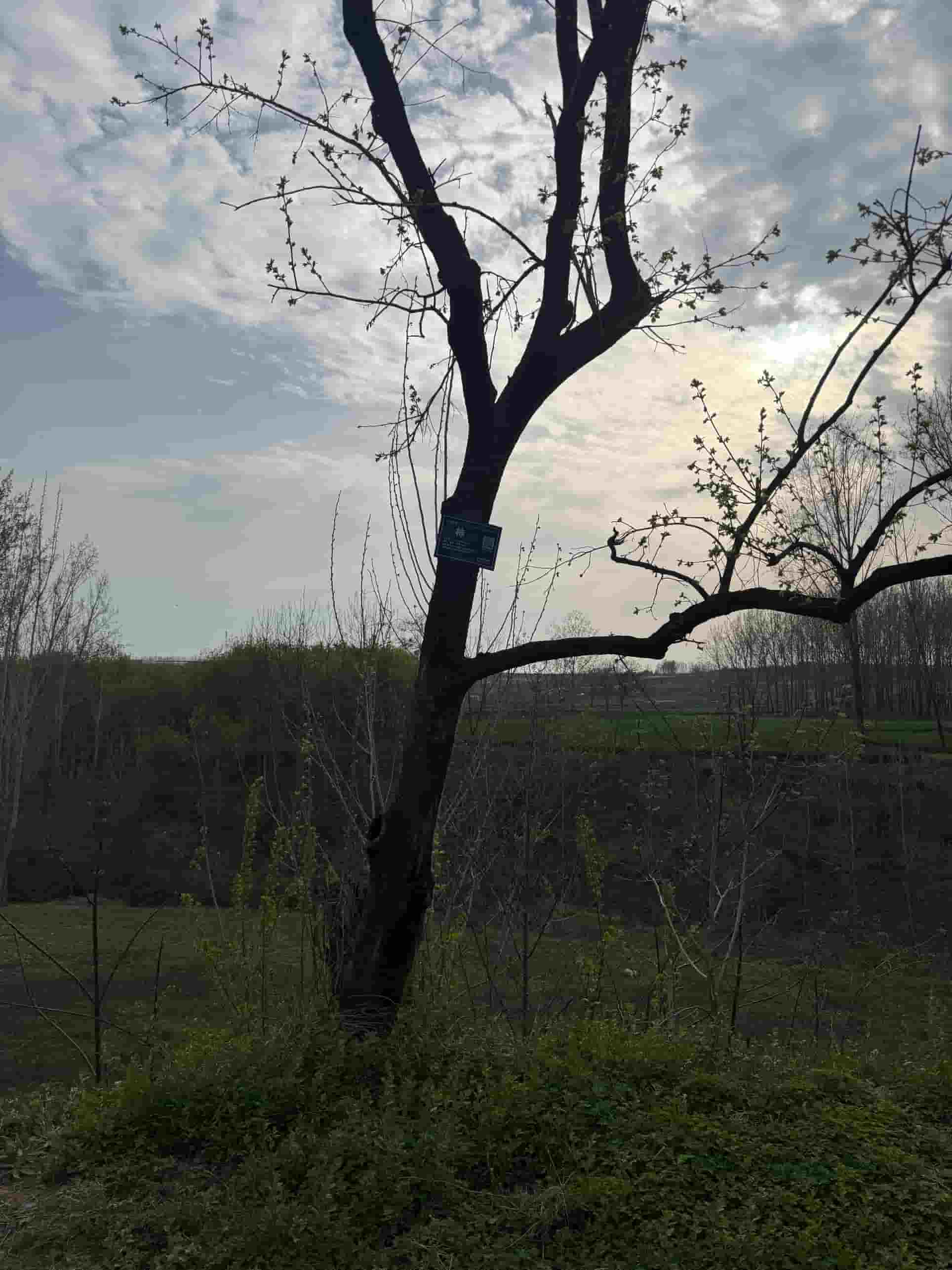 41032900480