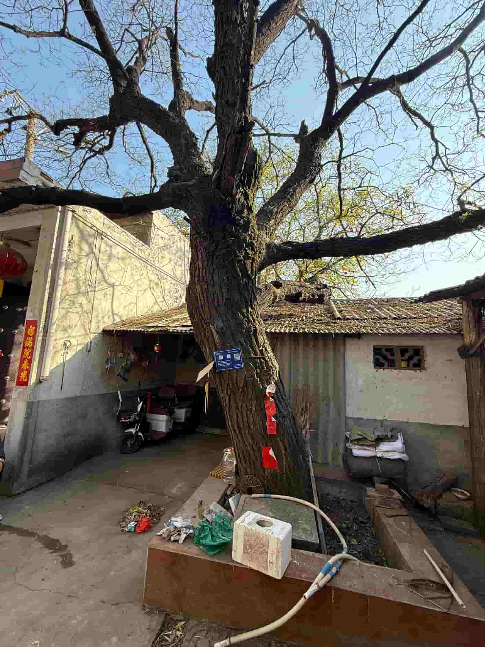 41032900483