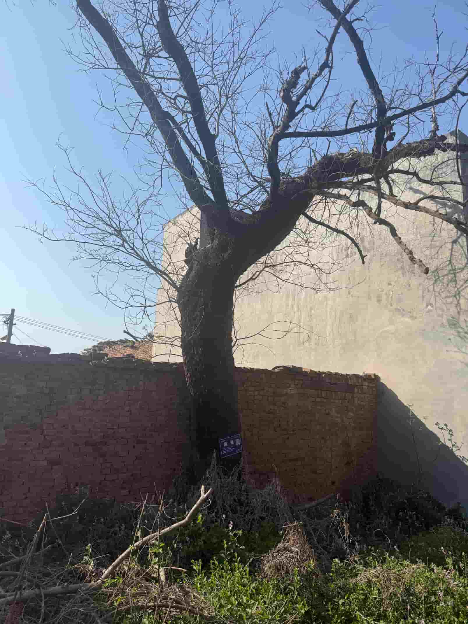 41032900487