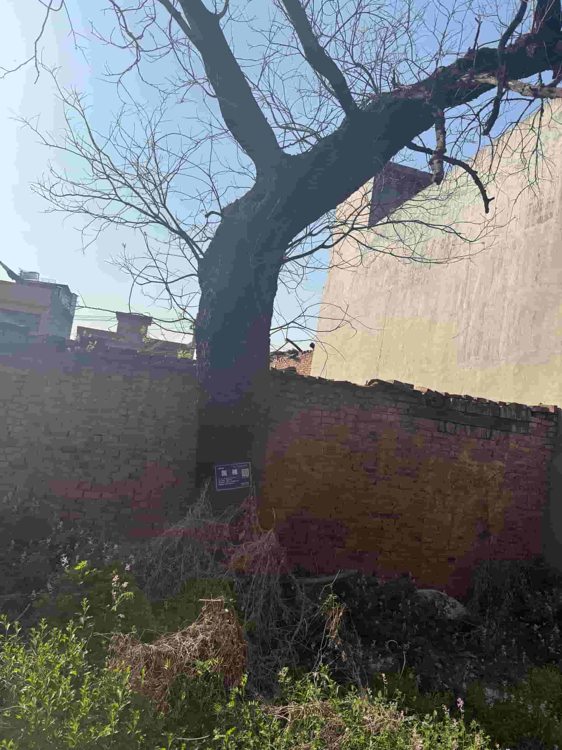 41032900487-2