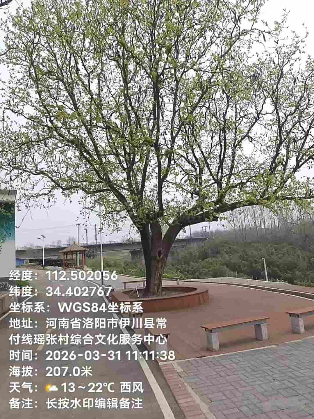 41032900497