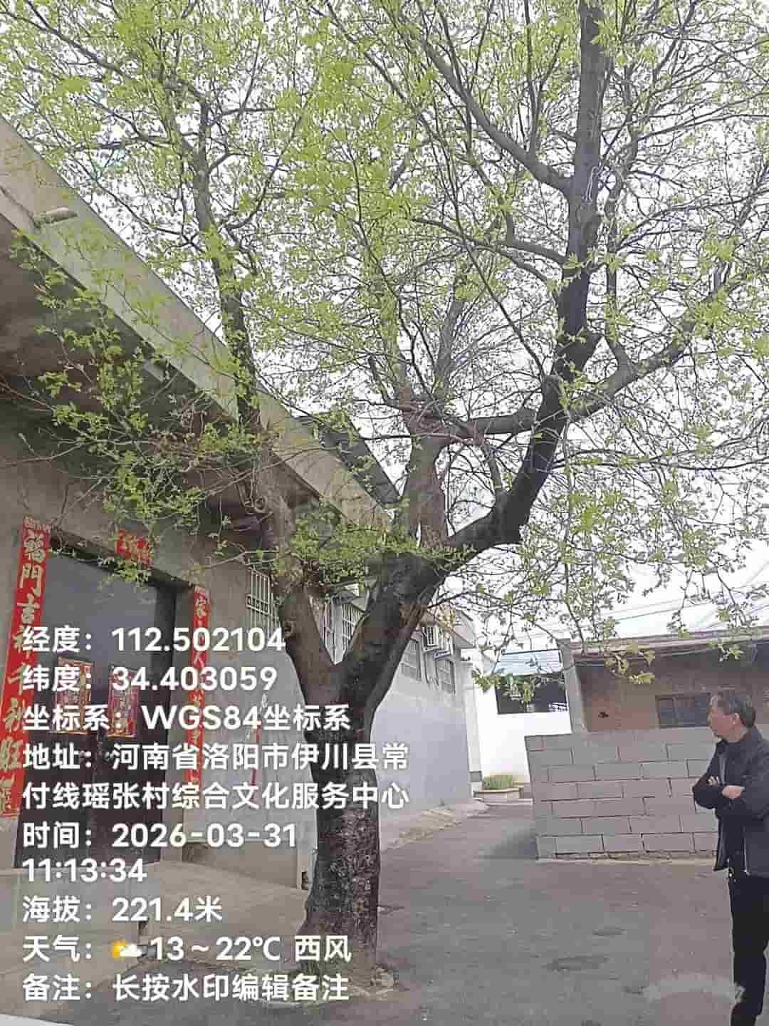 41032900498