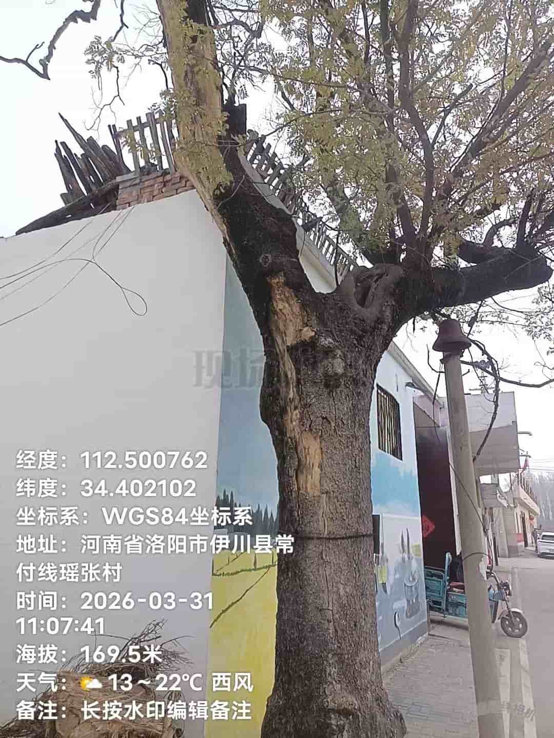 41032900499