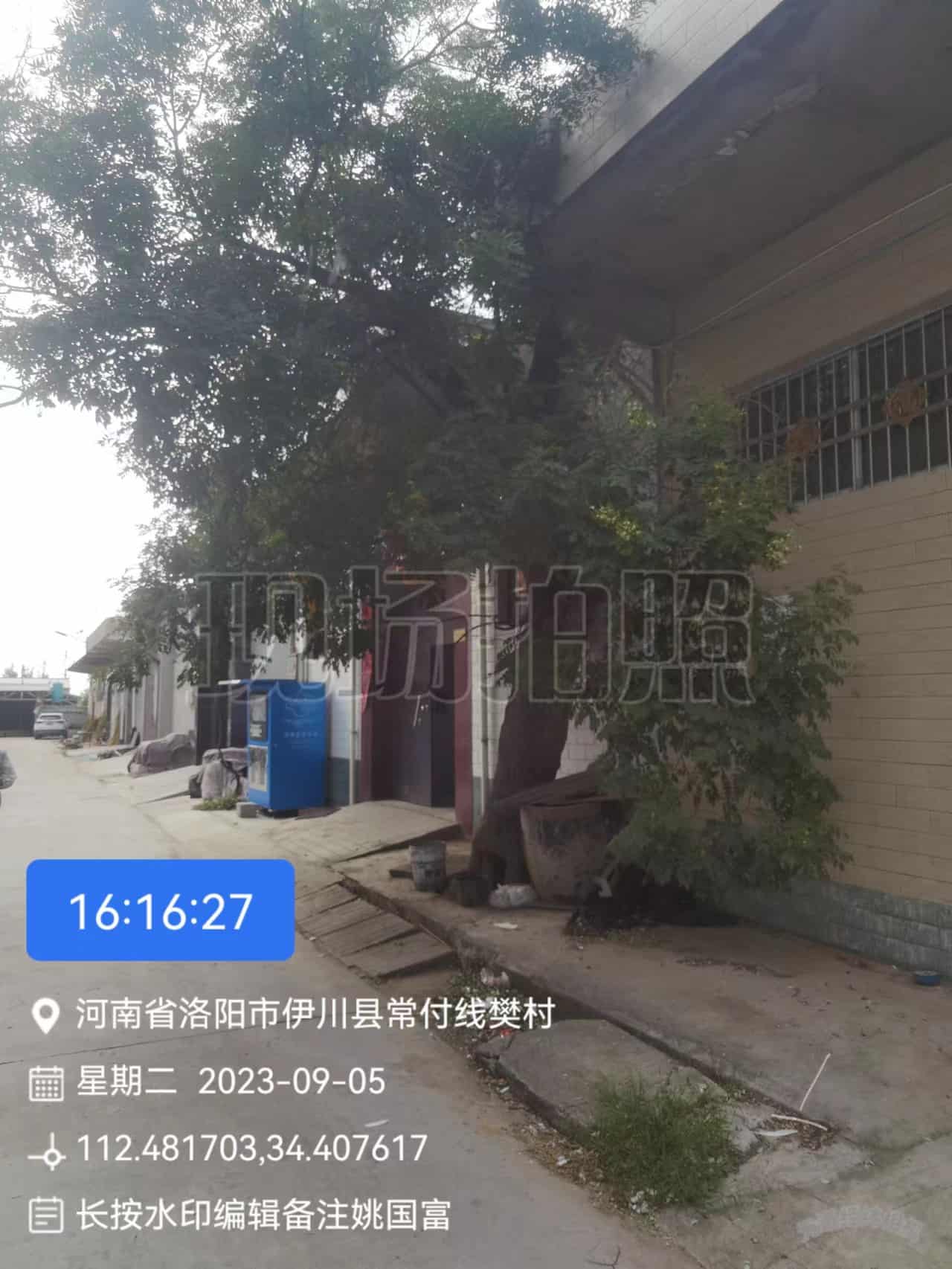 41032900501