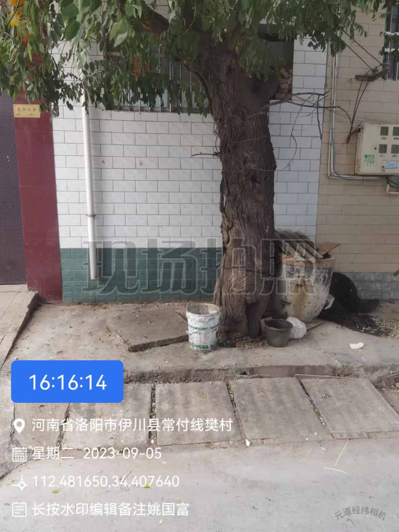 41032900501-2