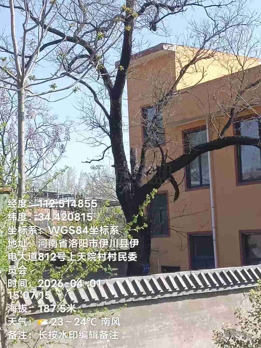 41032900502