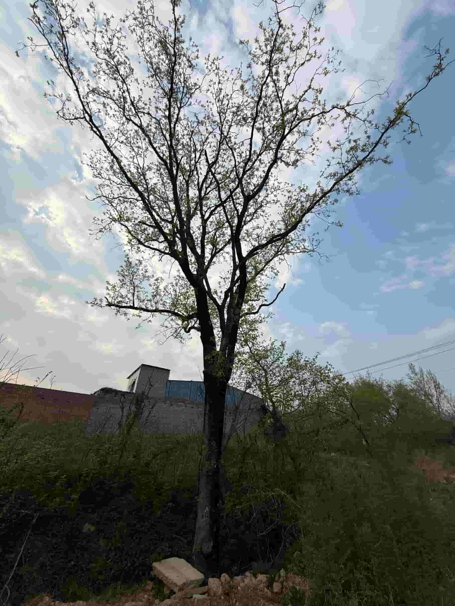 41032900524-2