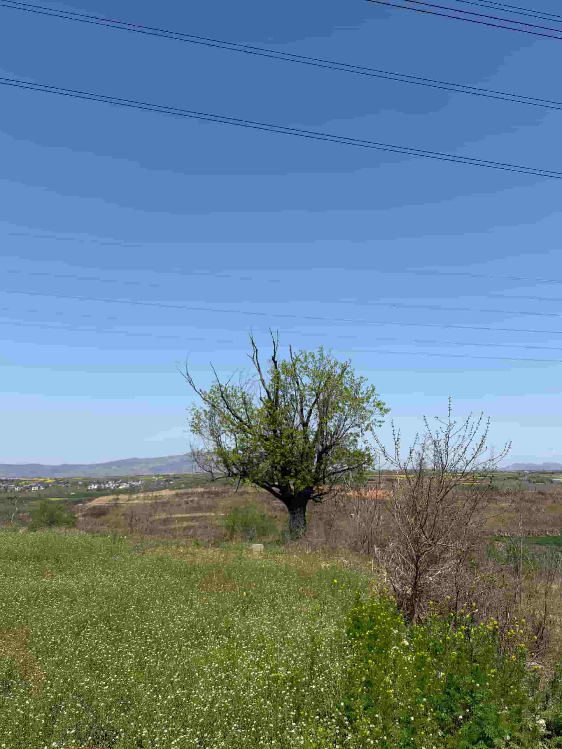 41032900534-3
