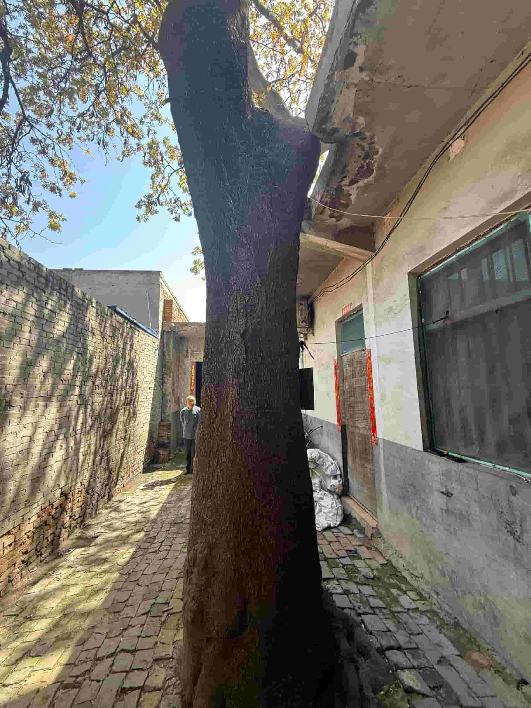 41032900548-3