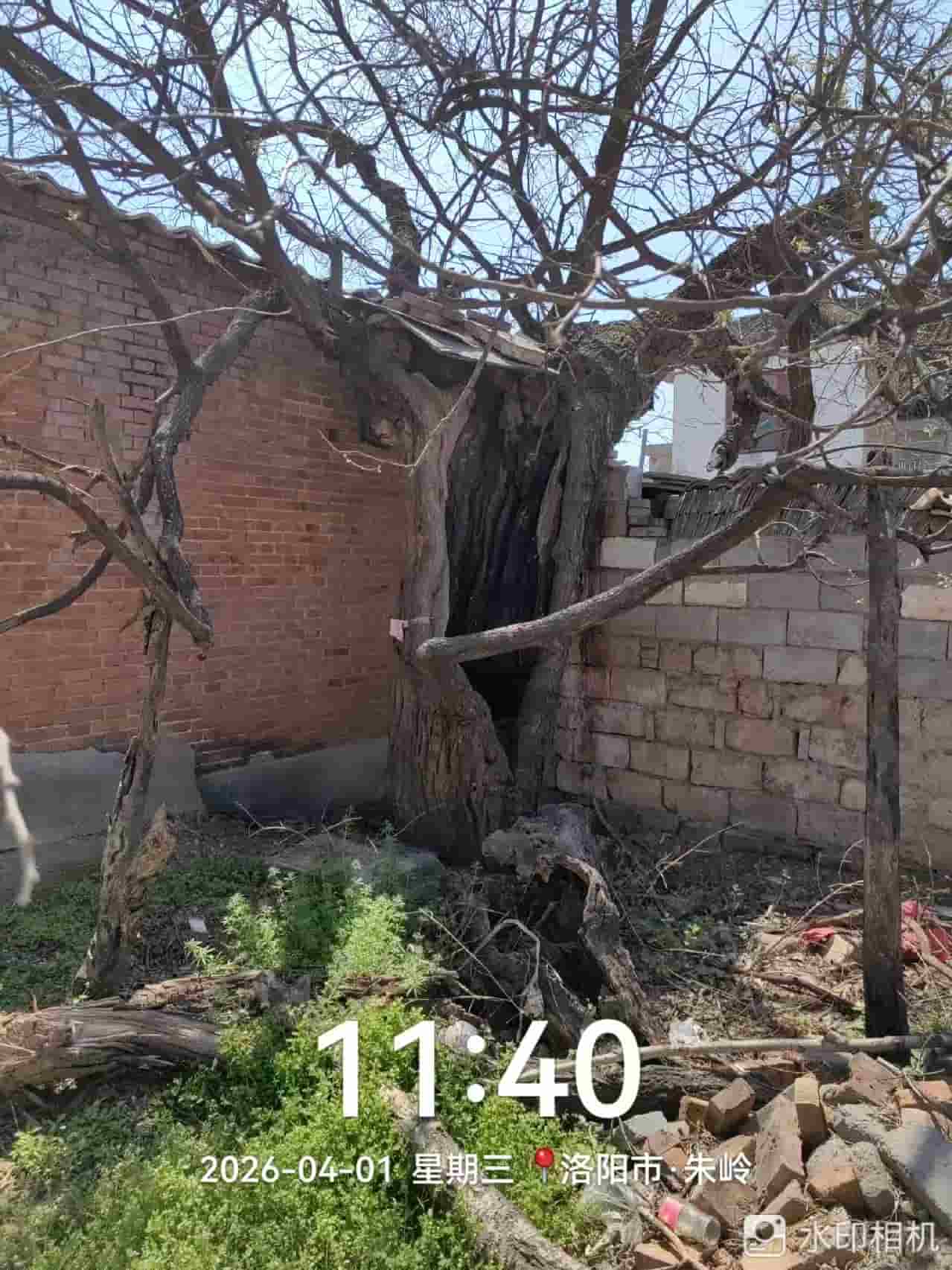 41032900549-2