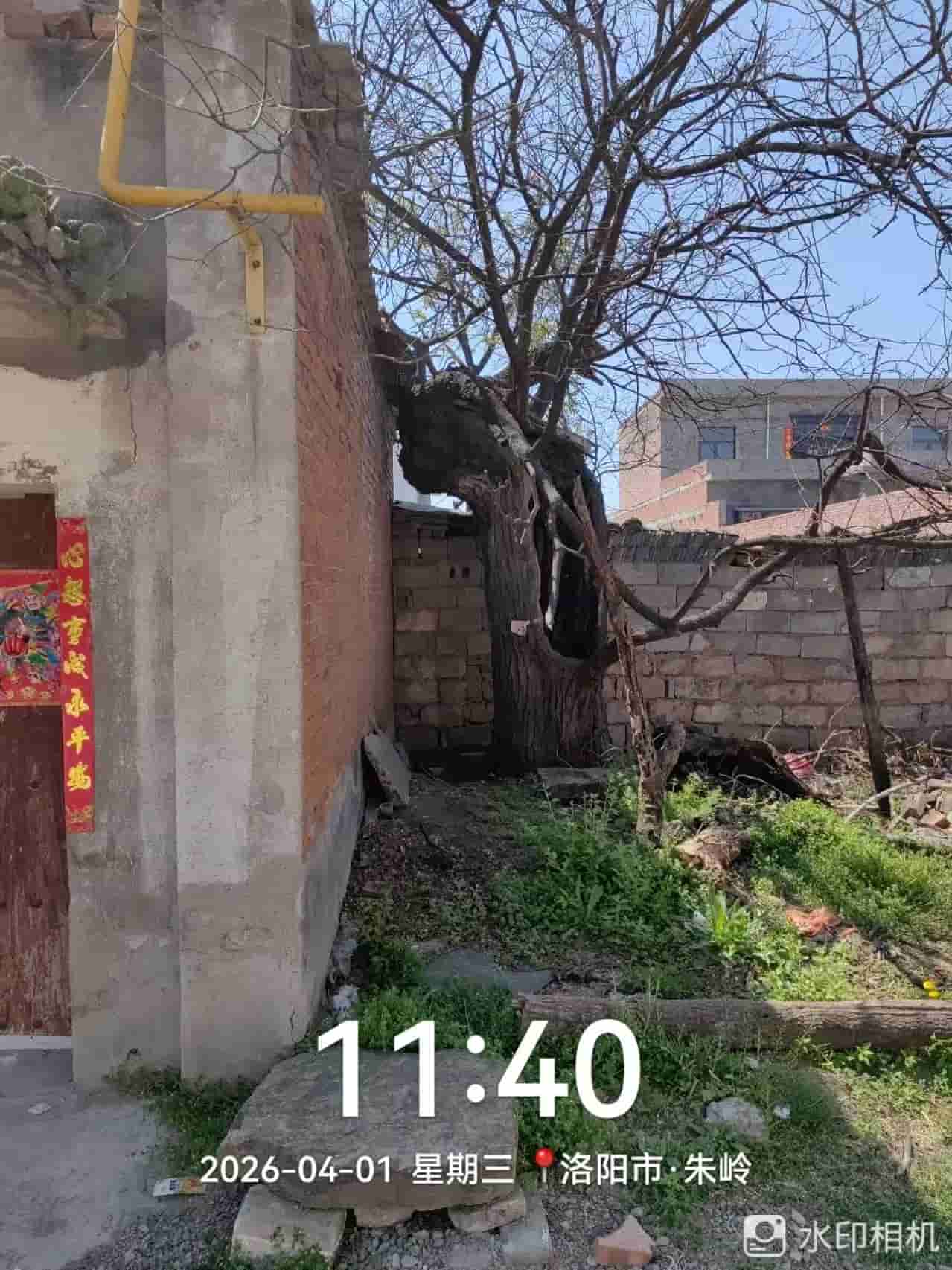 41032900549-3