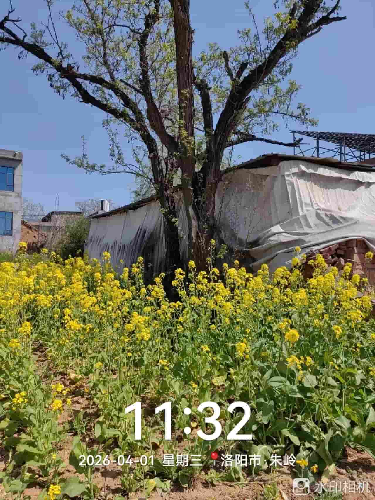 41032900550
